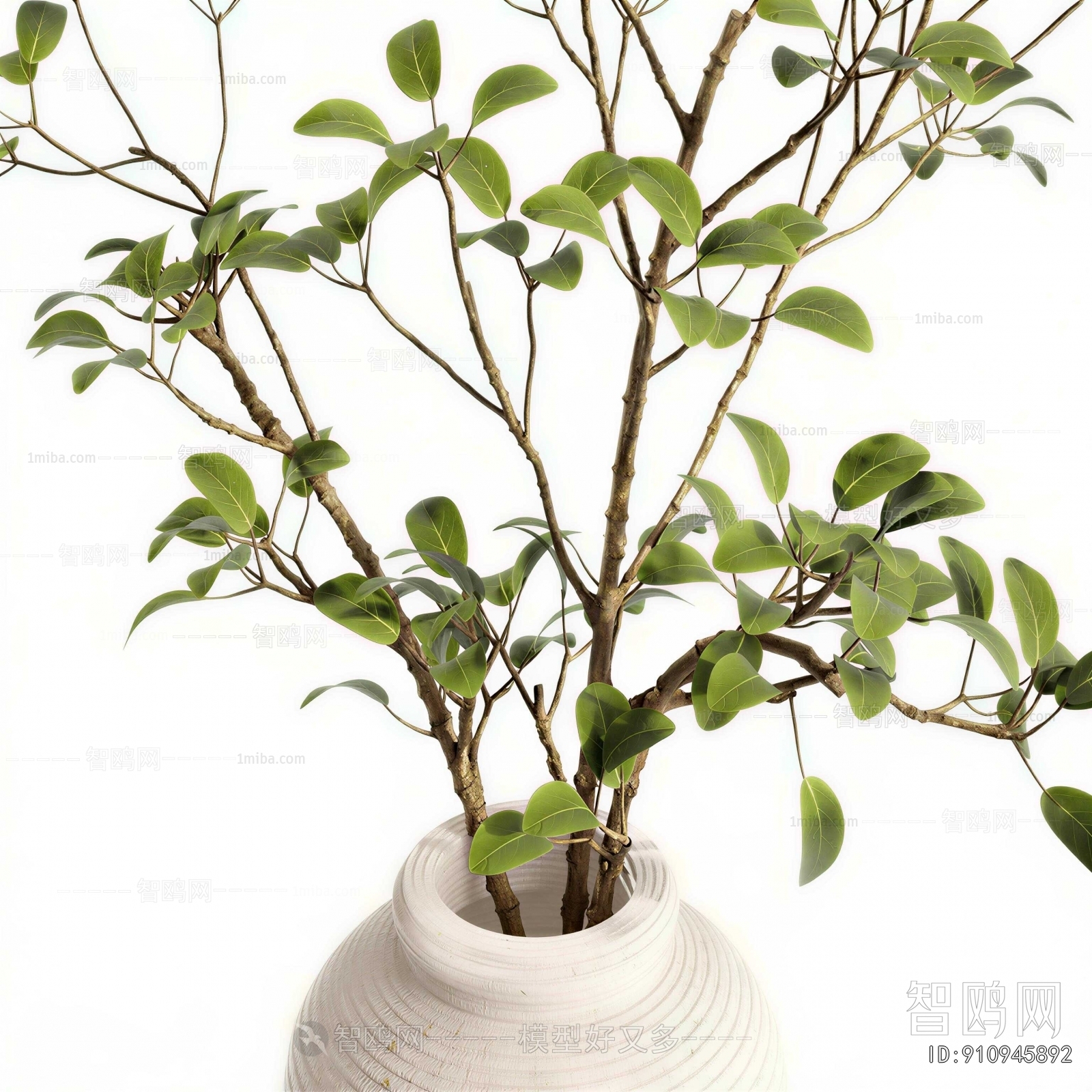 Modern Potted Green Plant