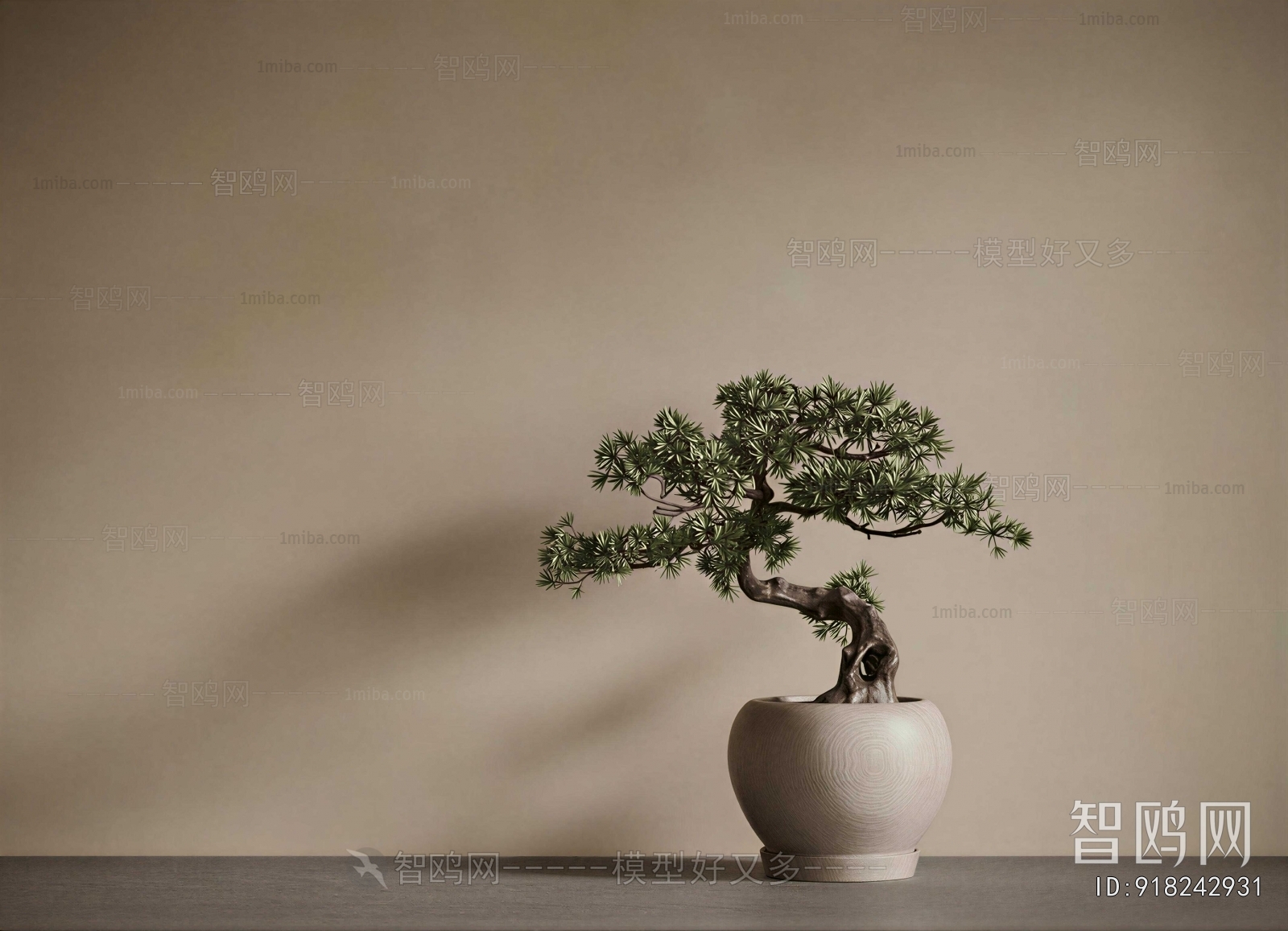 Wabi-sabi Style Bonsai