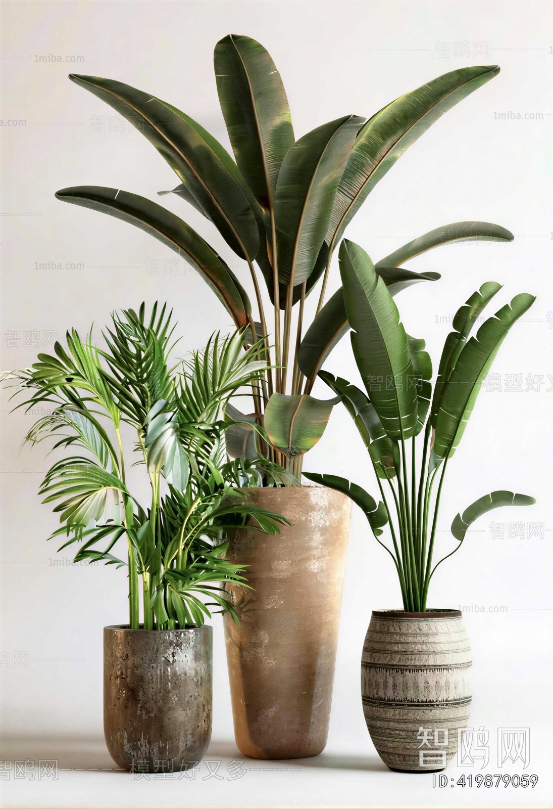 Modern Ground Green Plant Potted Plants