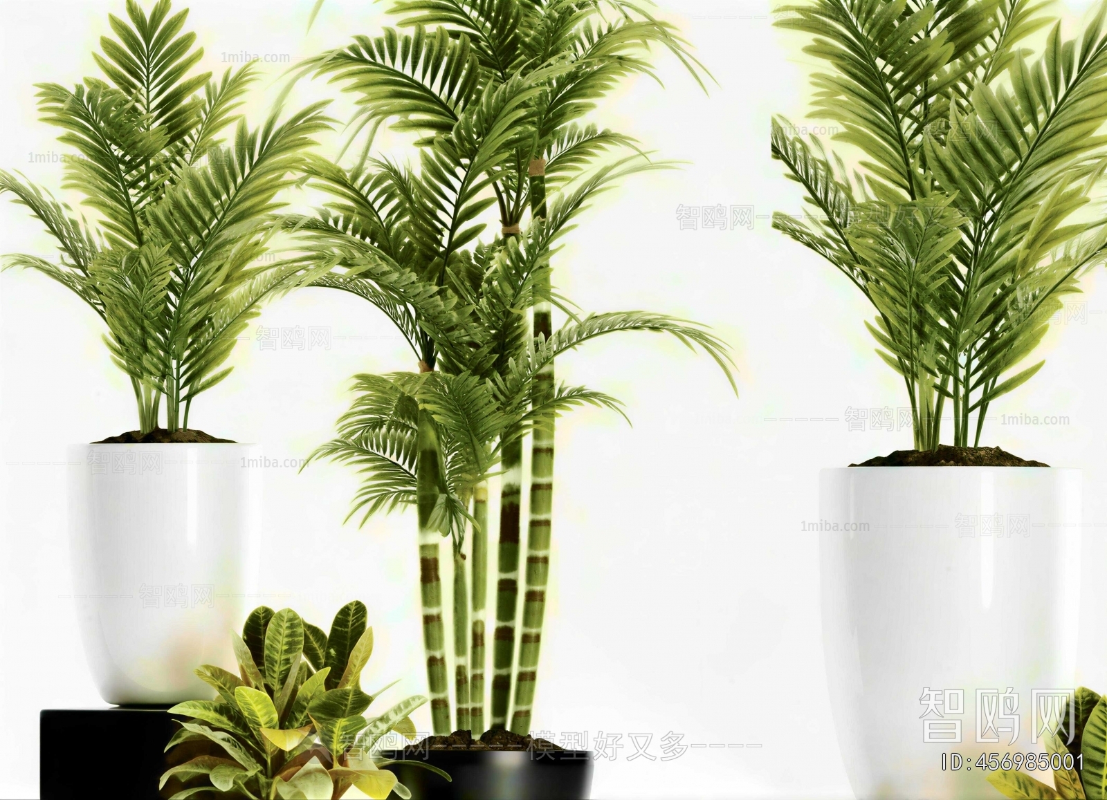 Modern Potted Green Plant