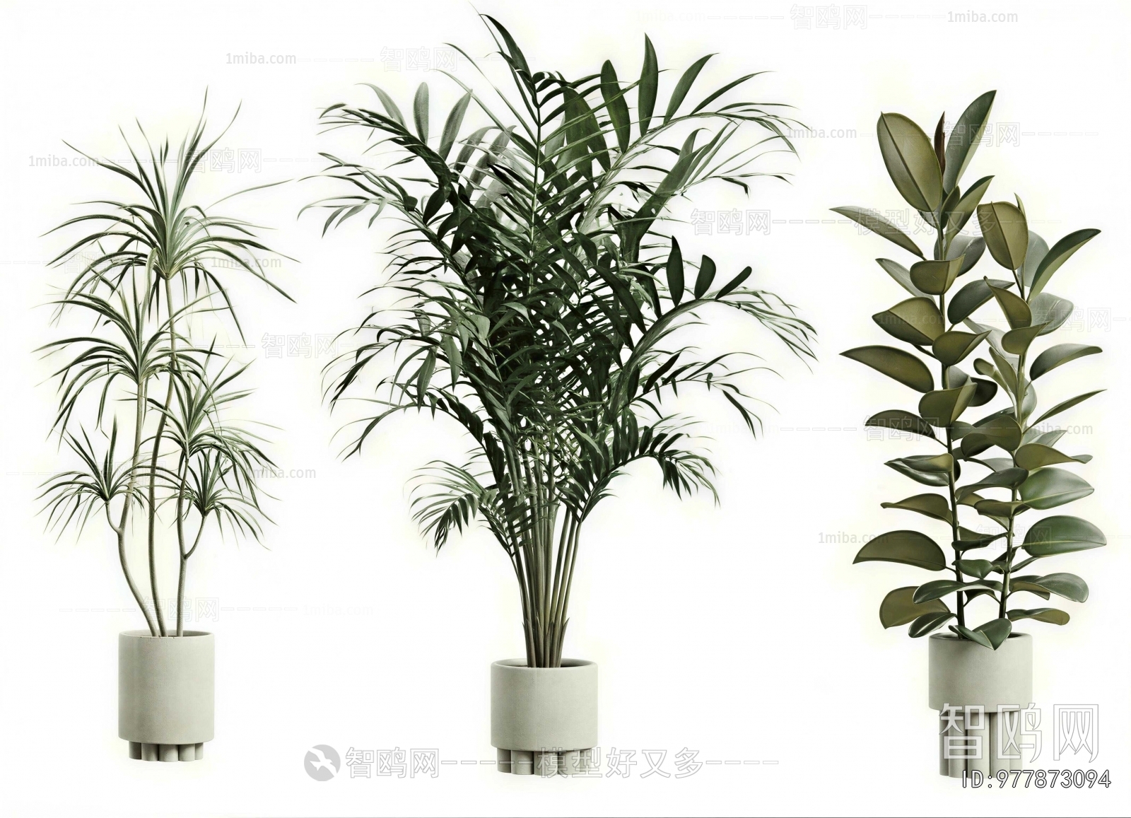 Modern Ground Green Plant Potted Plants