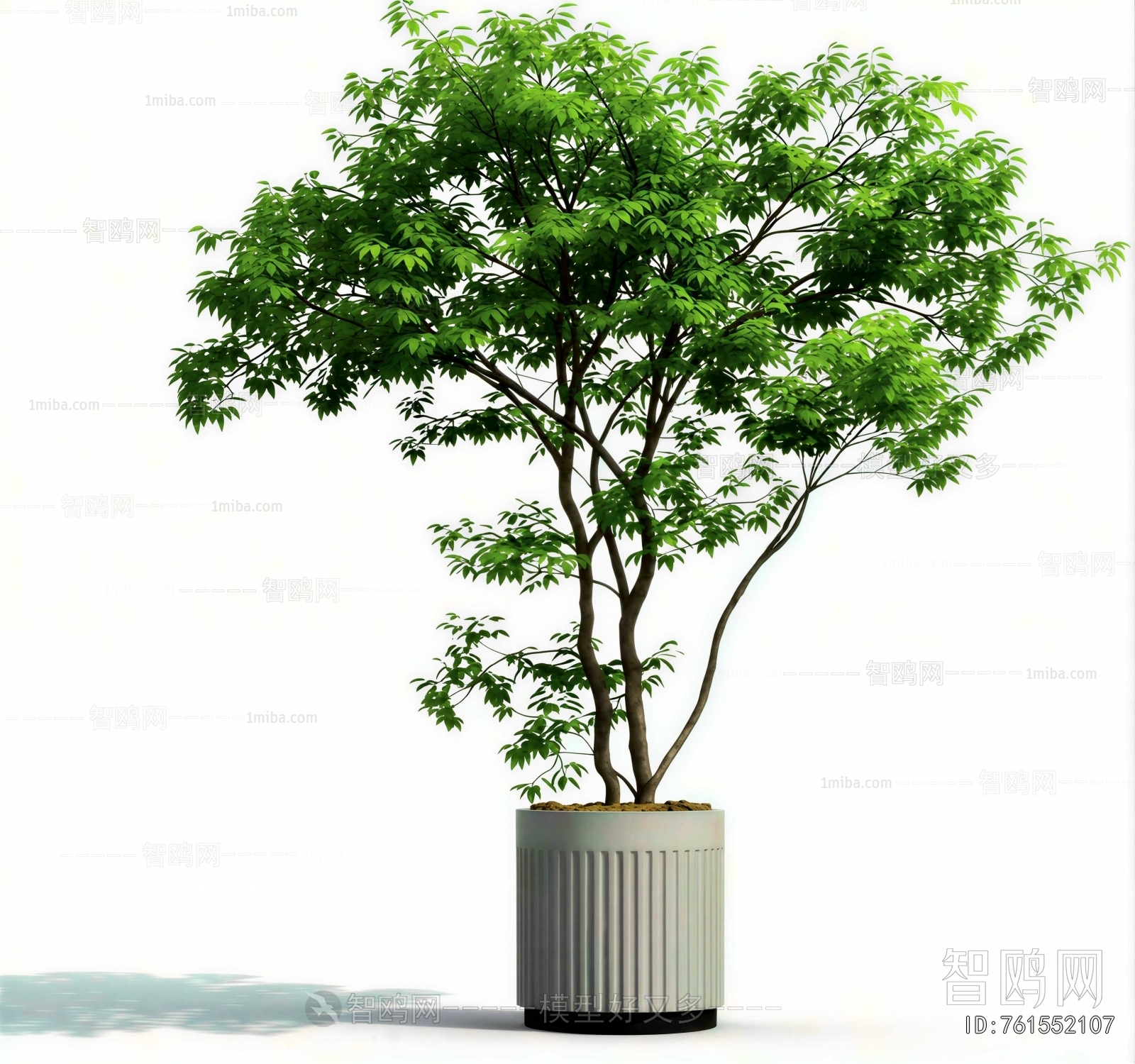 Modern Ground Green Plant Potted Plants
