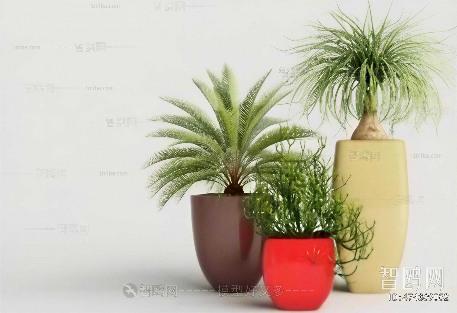 Modern Ground Green Plant Potted Plants