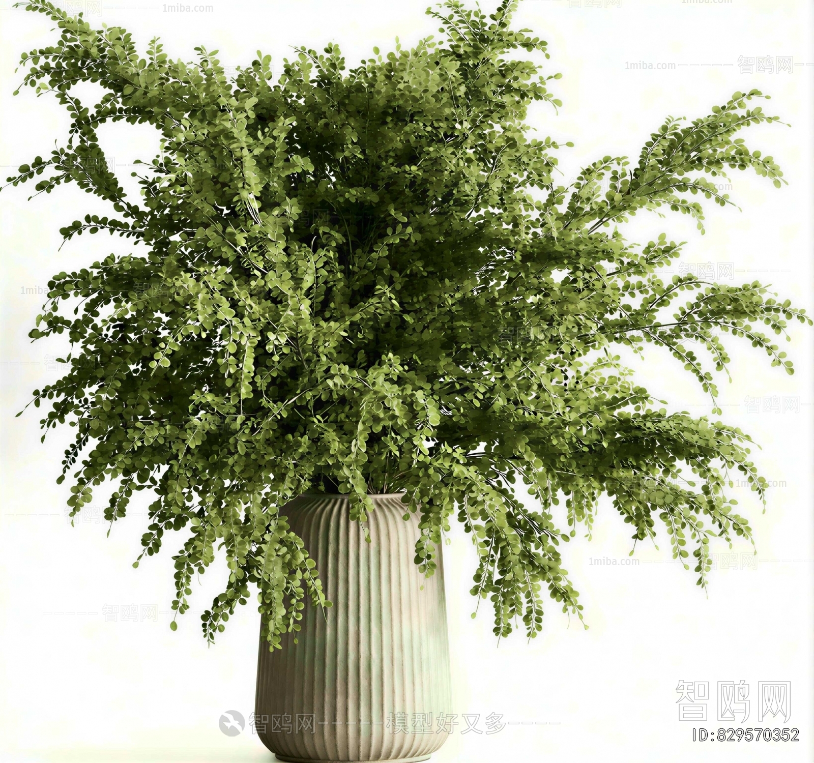 Modern Potted Green Plant
