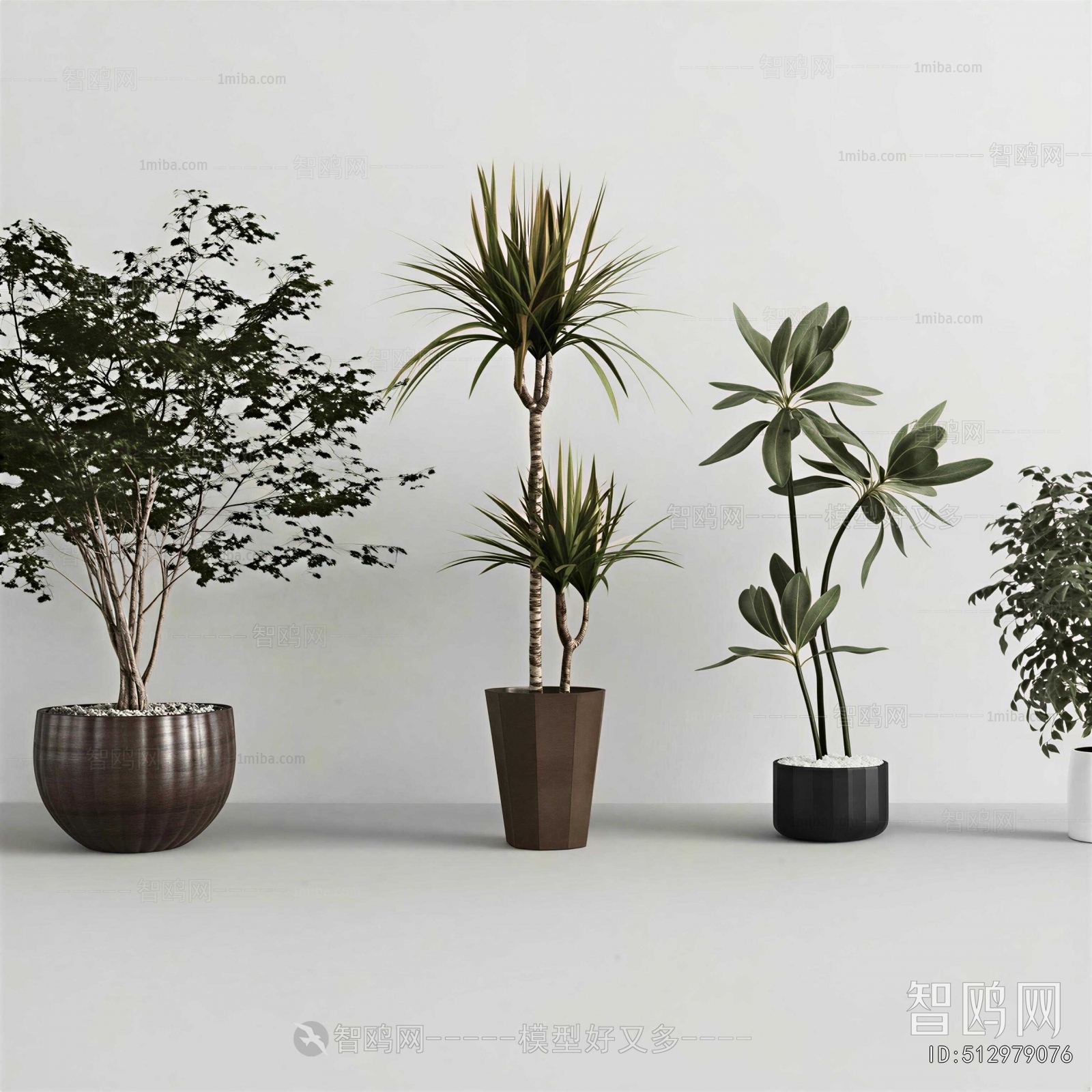 Modern Ground Green Plant Potted Plants