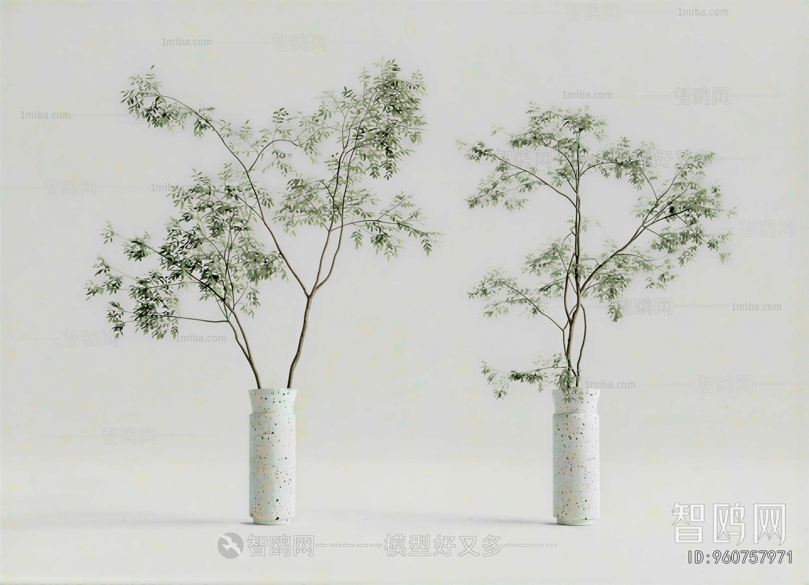 Modern Aquatic Green Plant
