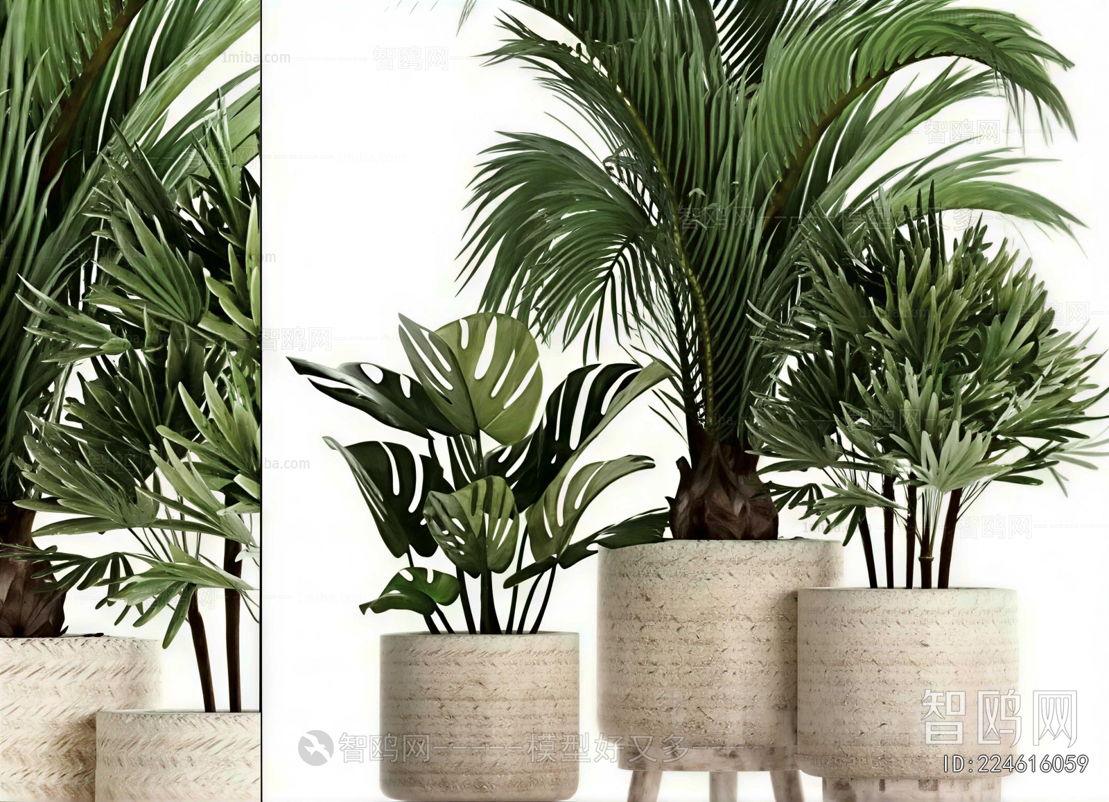 Modern Ground Green Plant Potted Plants