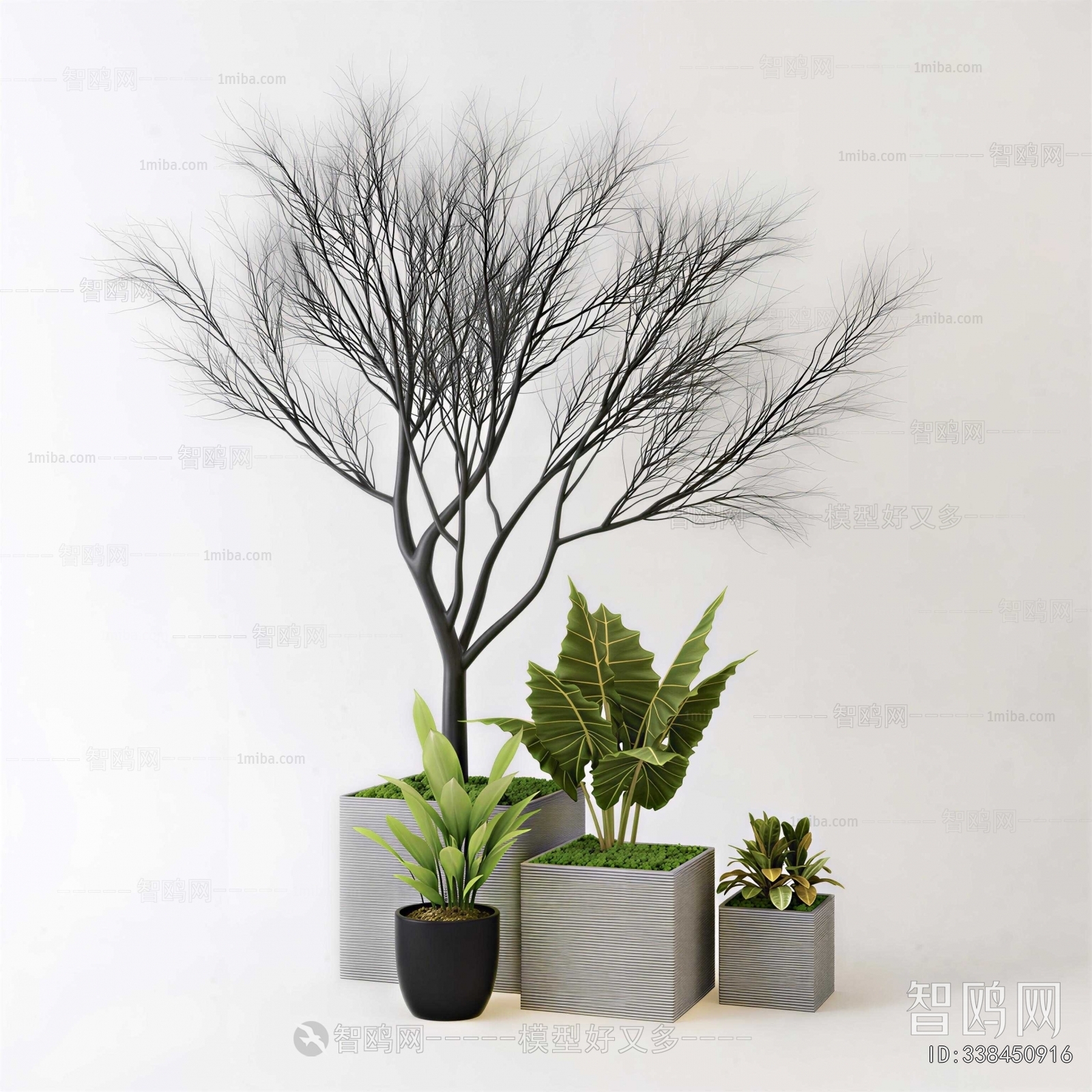 Modern Ground Green Plant Potted Plants