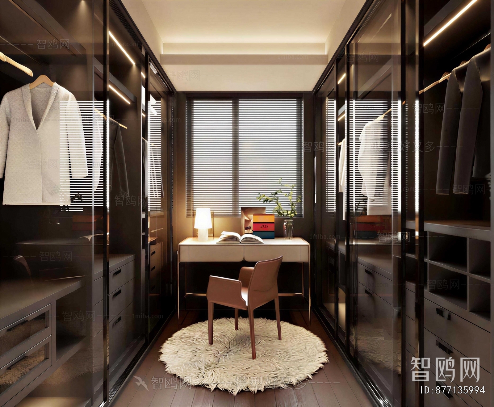 Modern Clothes Storage Area