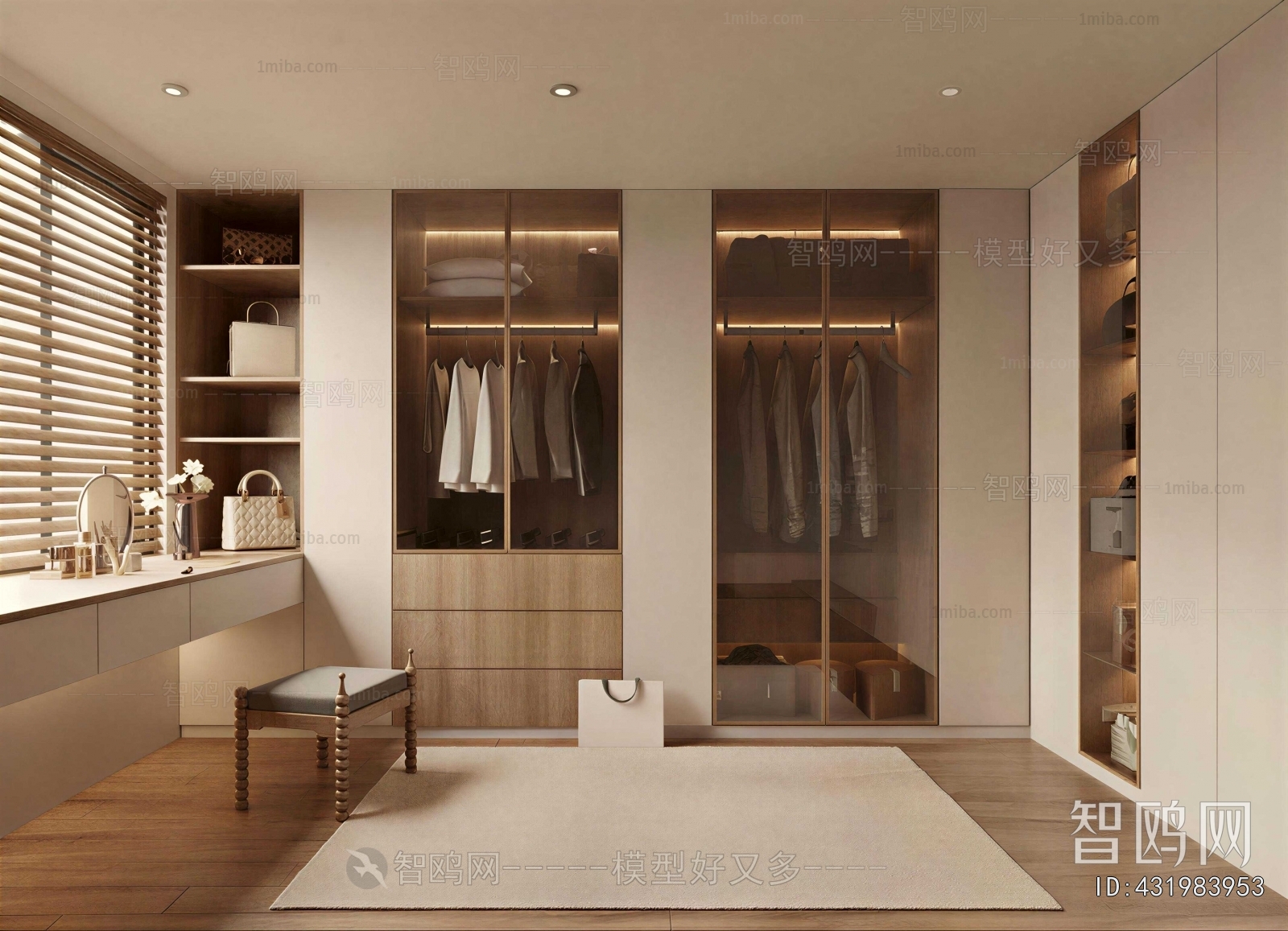 Modern Clothes Storage Area