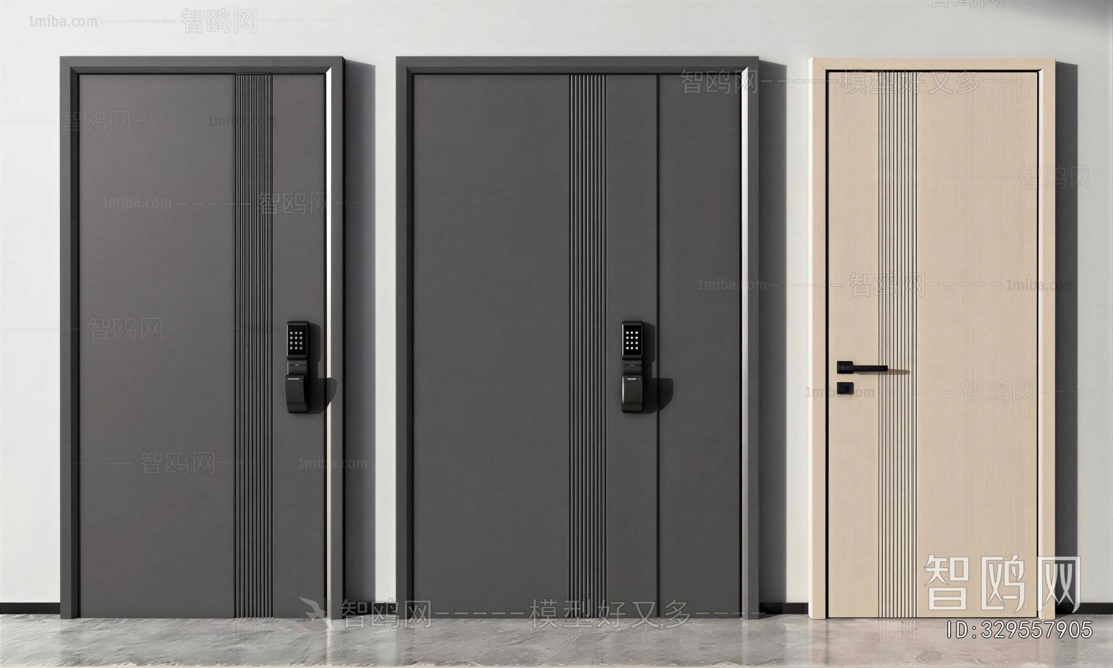 Modern Entrance Door