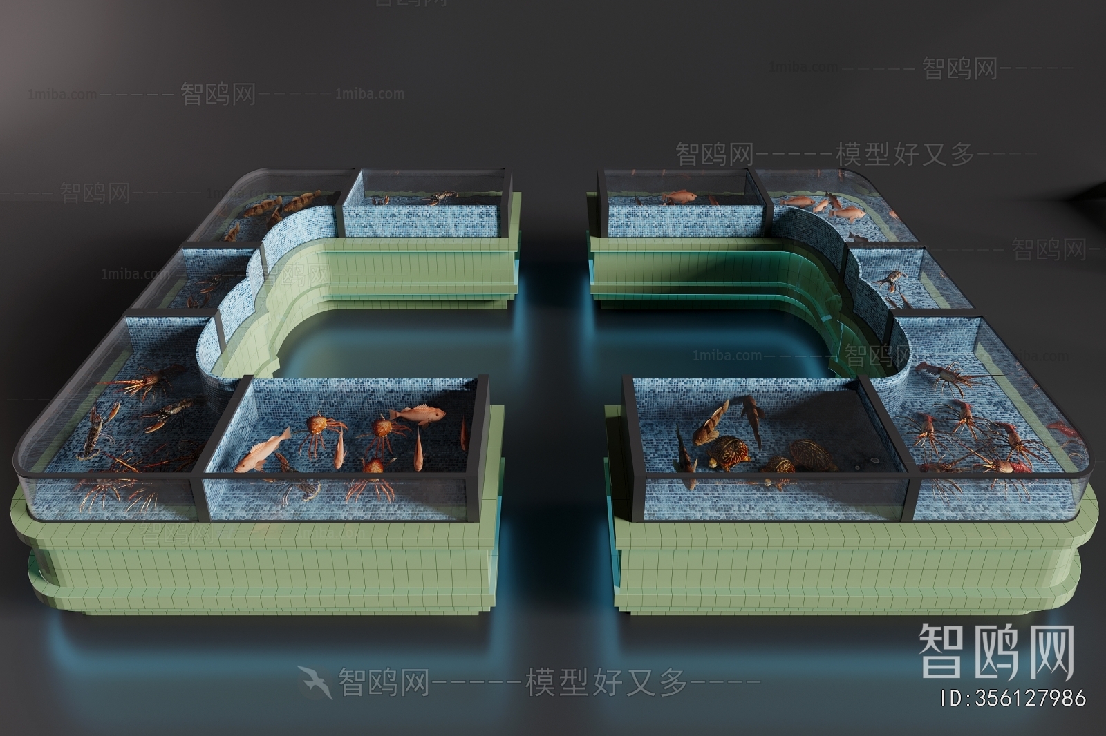 Modern Fish Tank