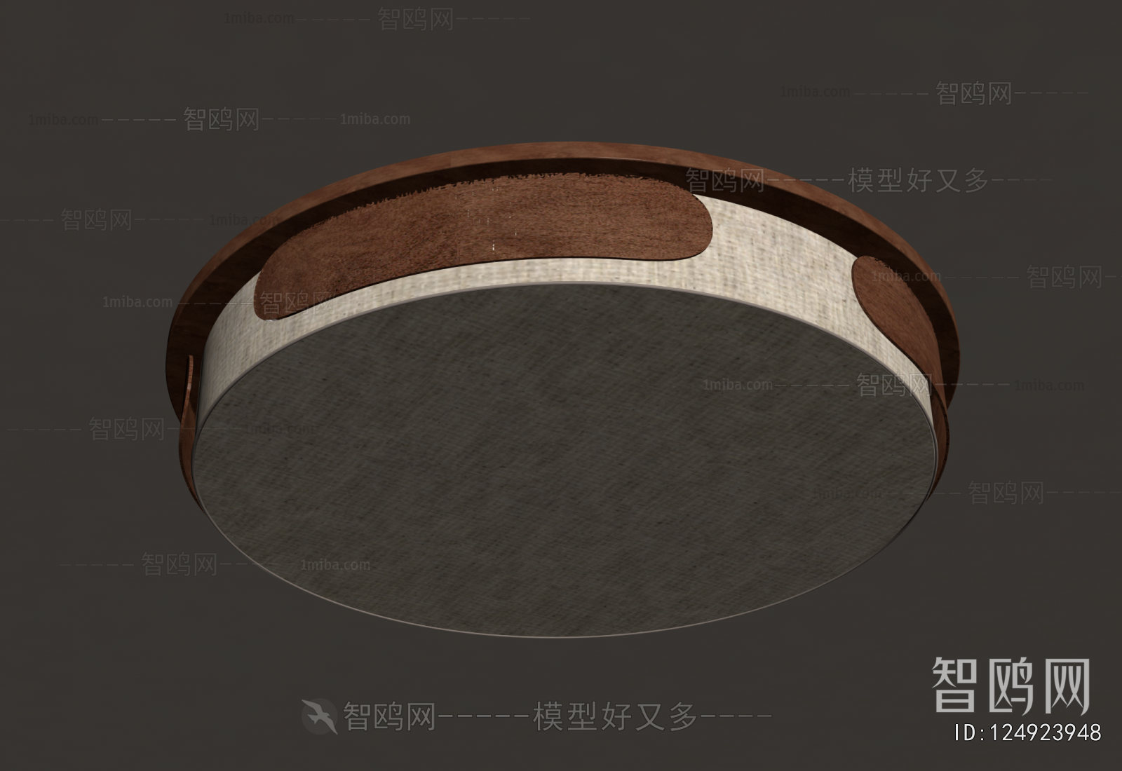 Modern Ceiling Ceiling Lamp