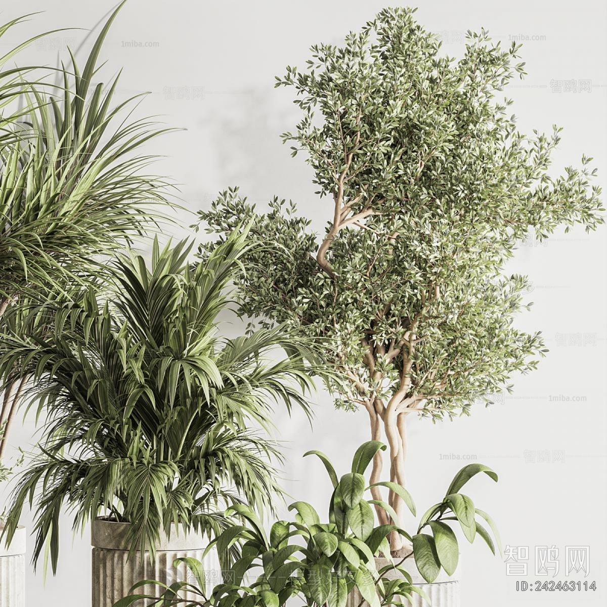 Modern Ground Green Plant Potted Plants