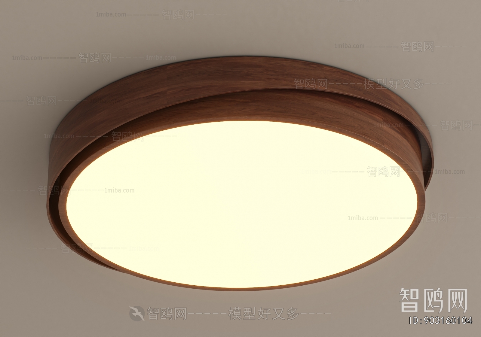 Modern Ceiling Ceiling Lamp