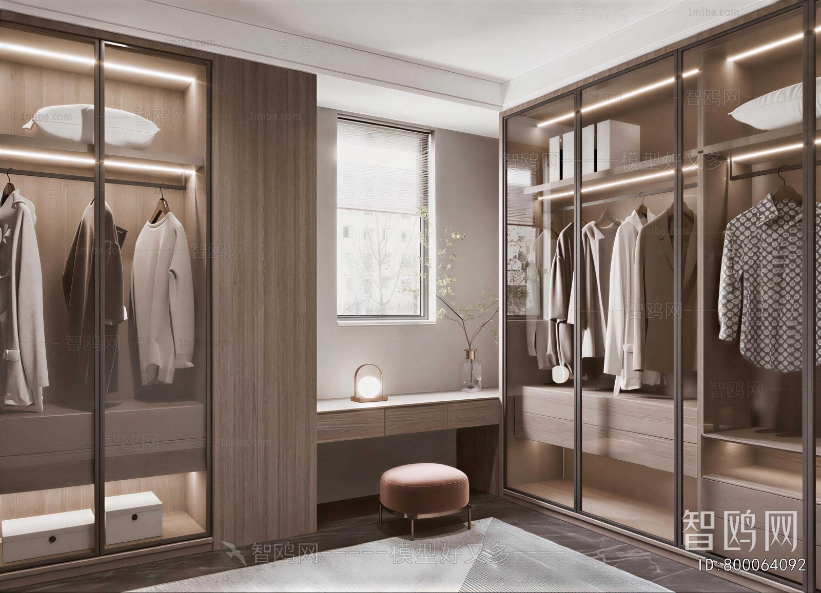 Modern Clothes Storage Area