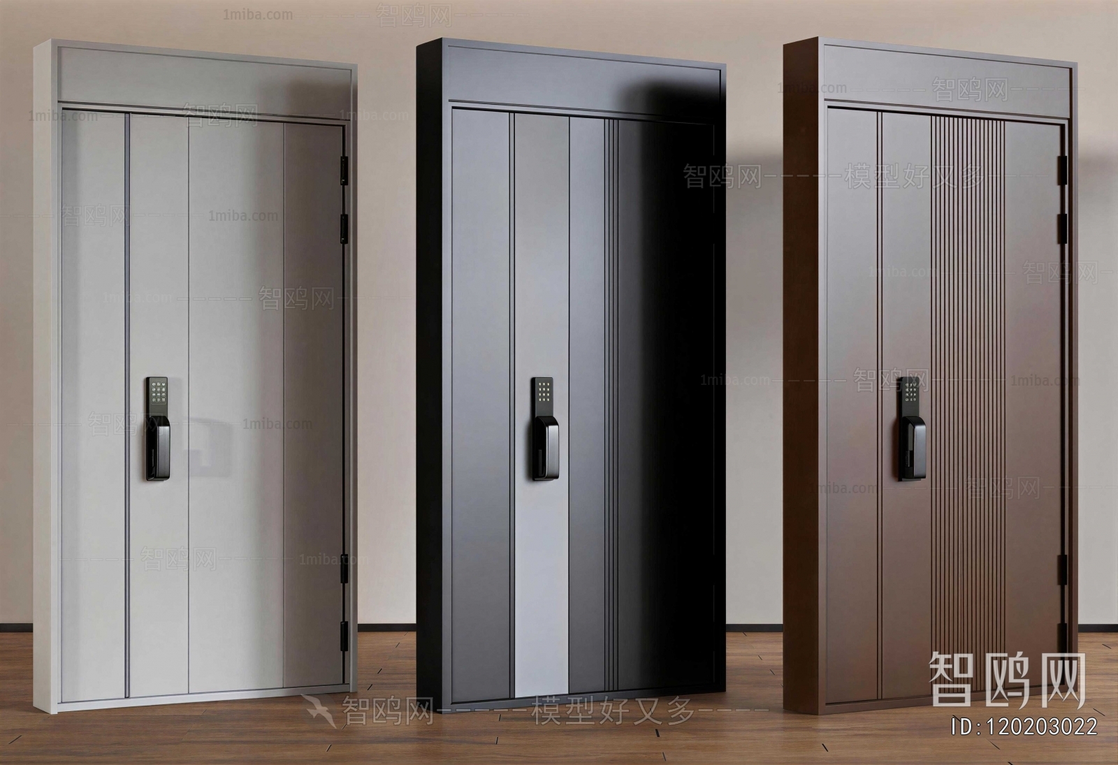 Modern Entrance Door