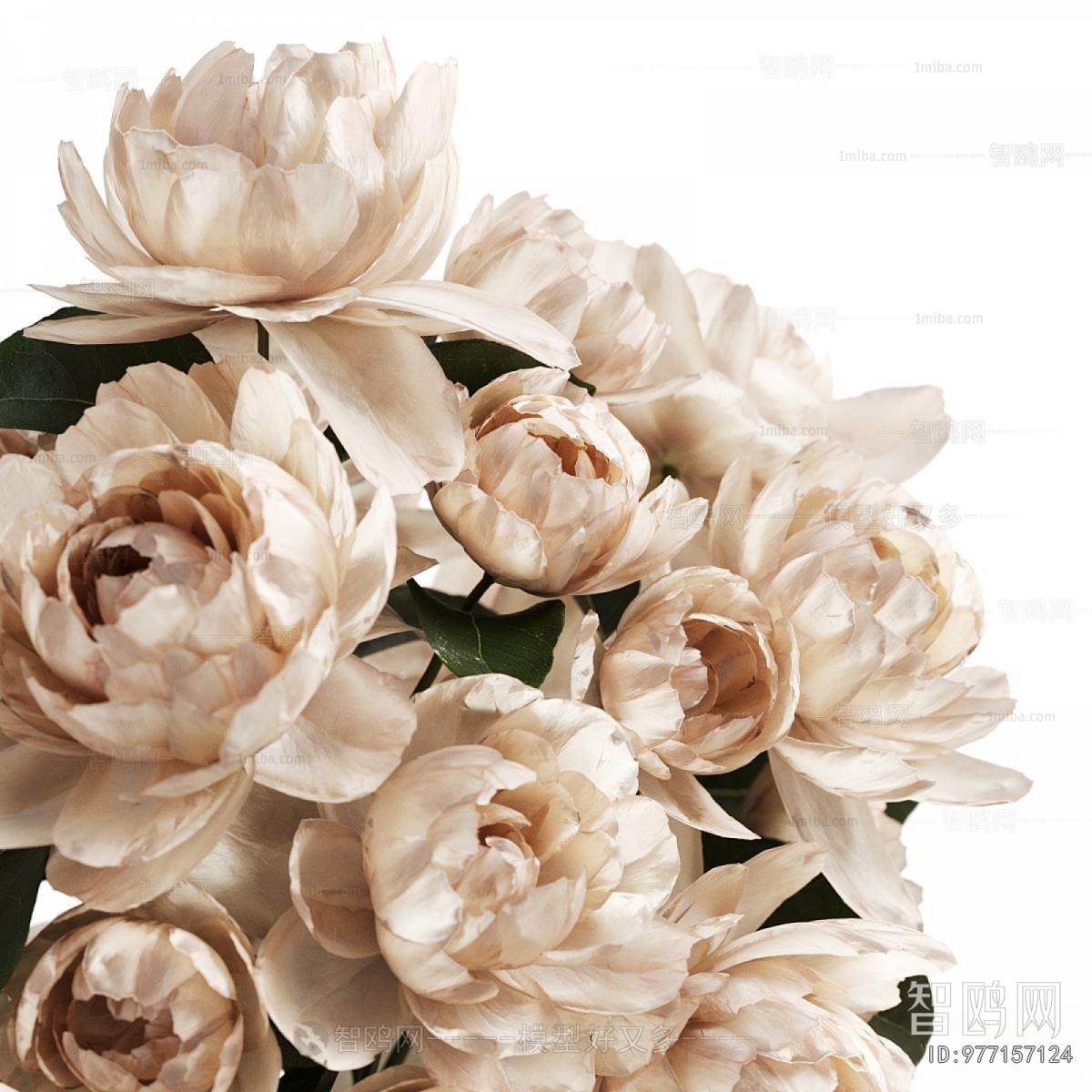 Modern Flower Arrangement