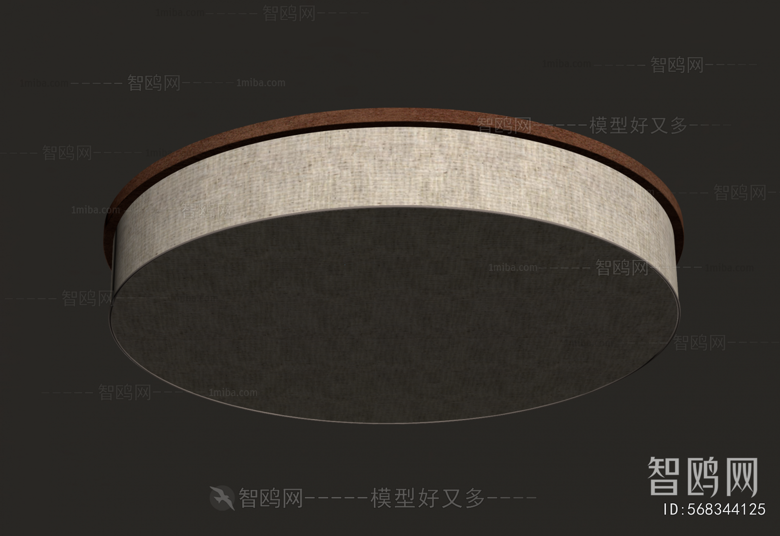 Modern Ceiling Ceiling Lamp