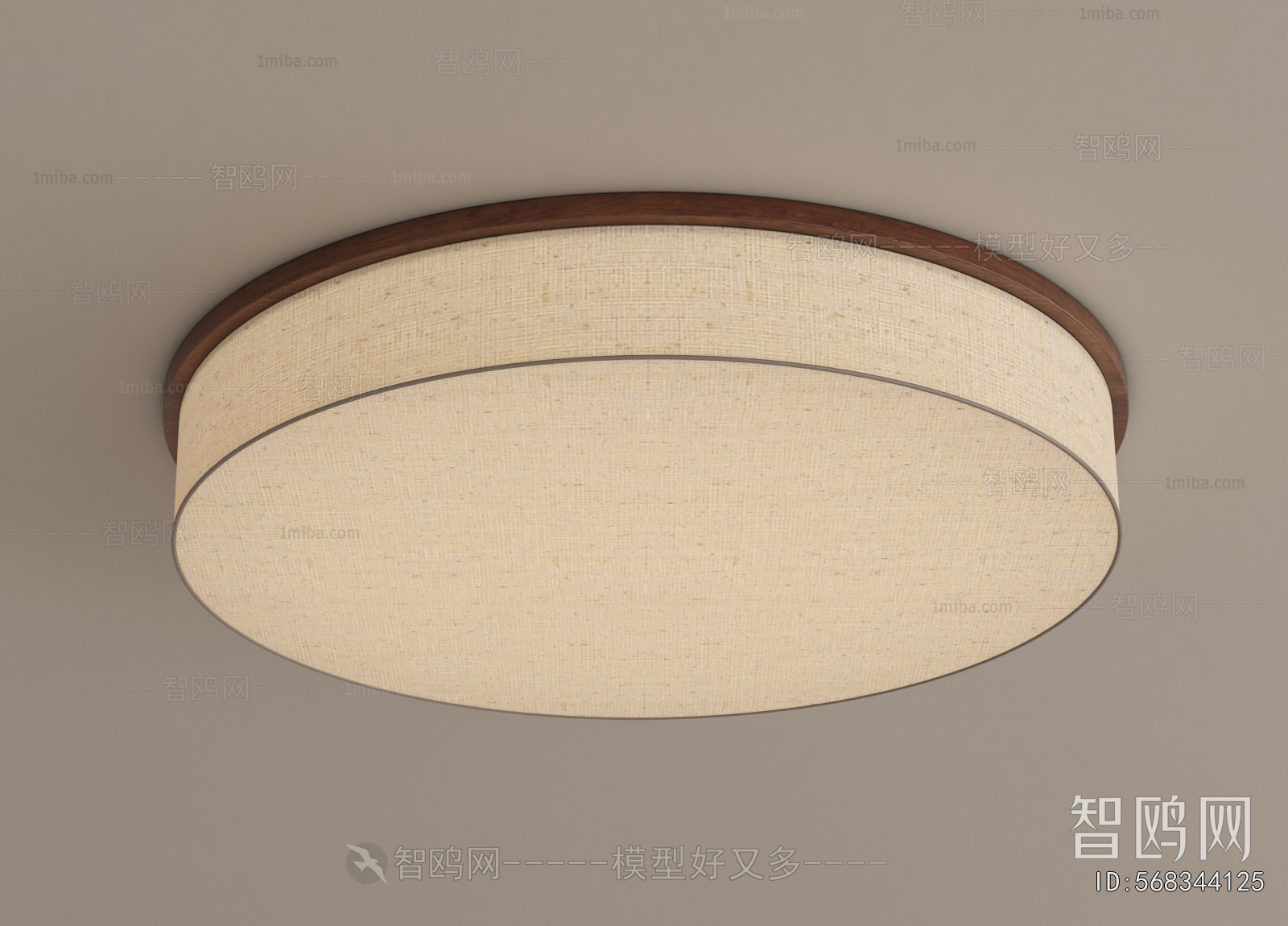Modern Ceiling Ceiling Lamp