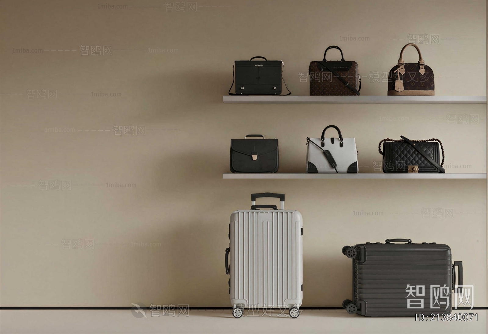 Modern Lady's Bag