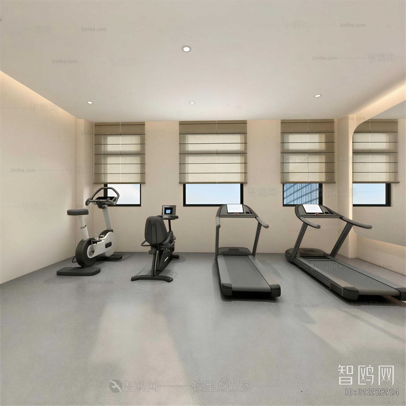 Modern Home Fitness Room