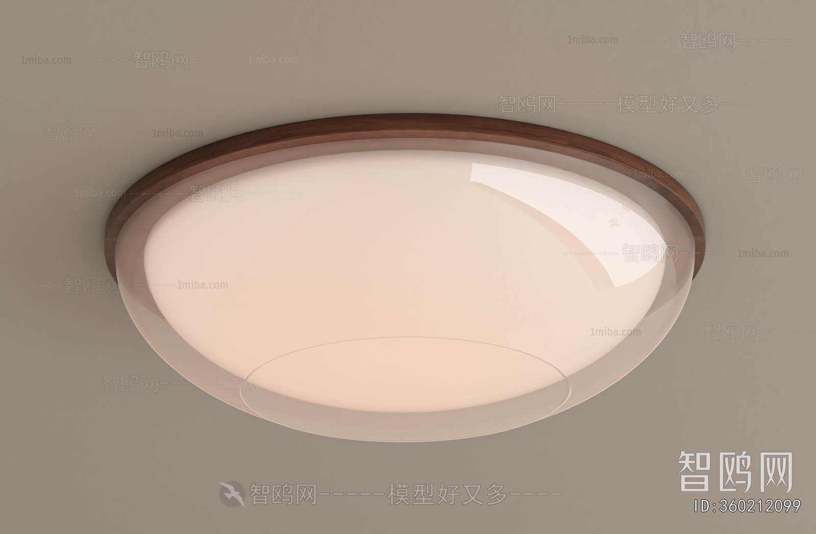 Modern Ceiling Ceiling Lamp