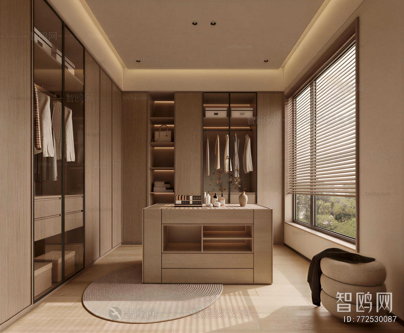 Modern Clothes Storage Area