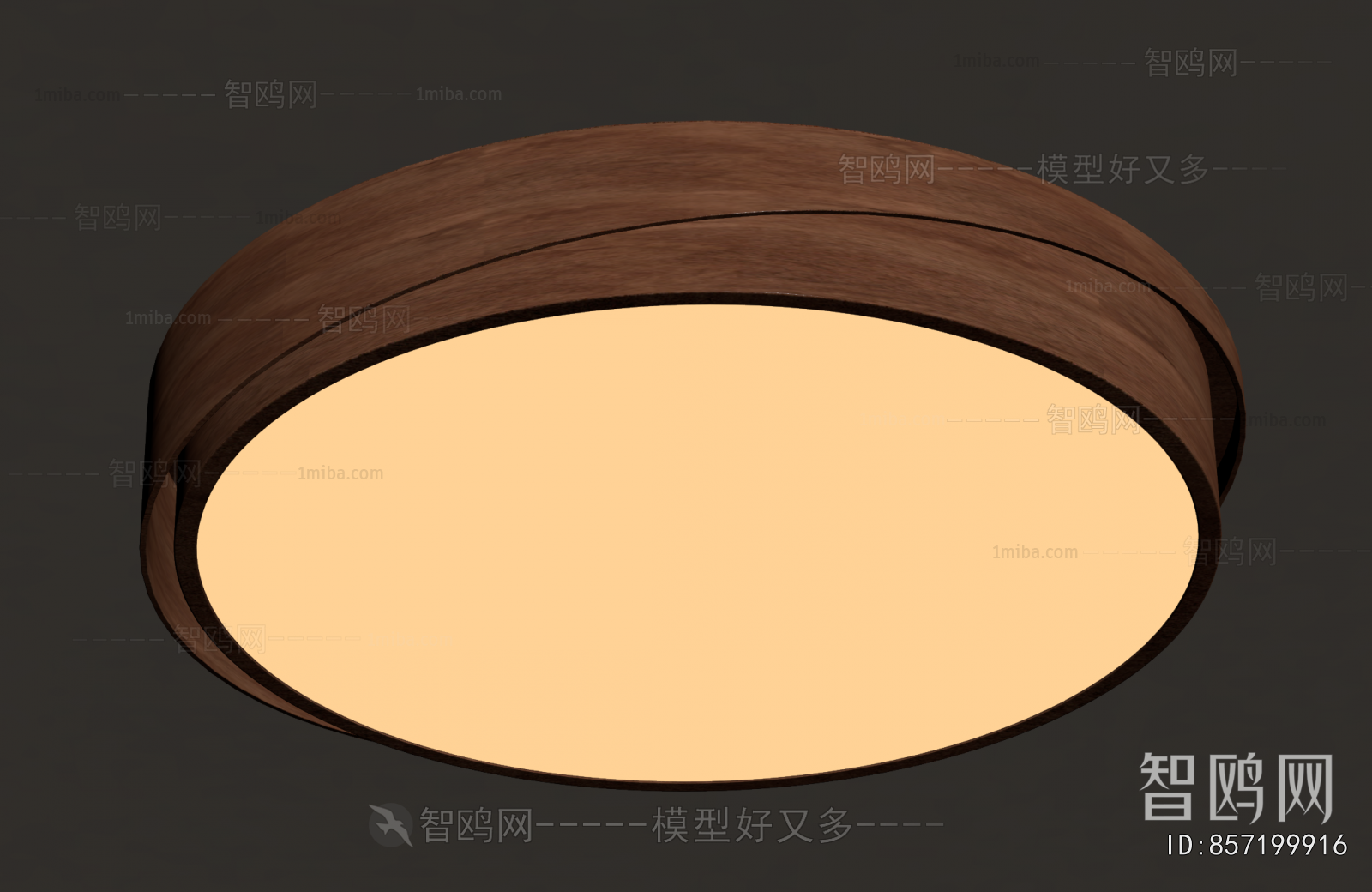 Modern Ceiling Ceiling Lamp