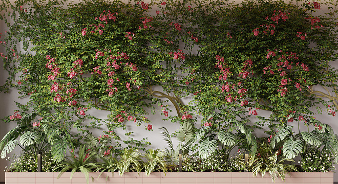 Modern Plant Wall