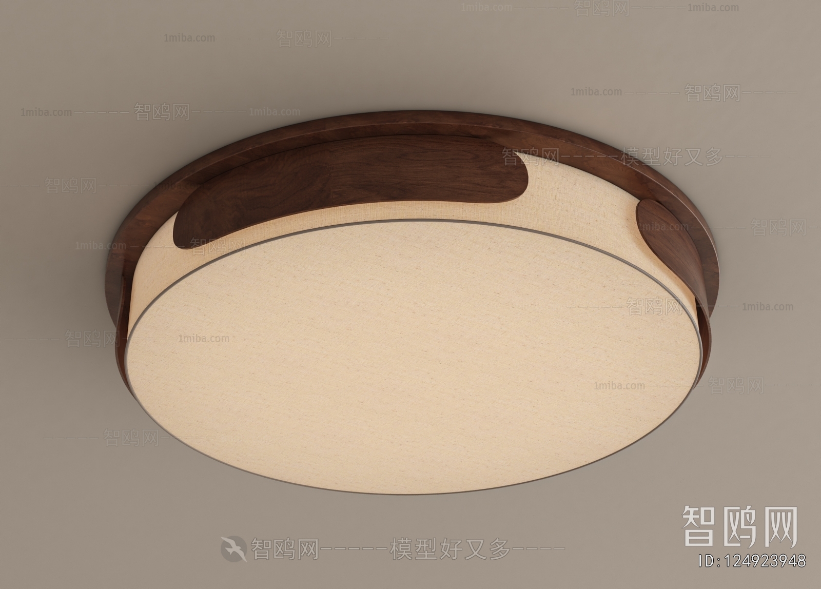 Modern Ceiling Ceiling Lamp