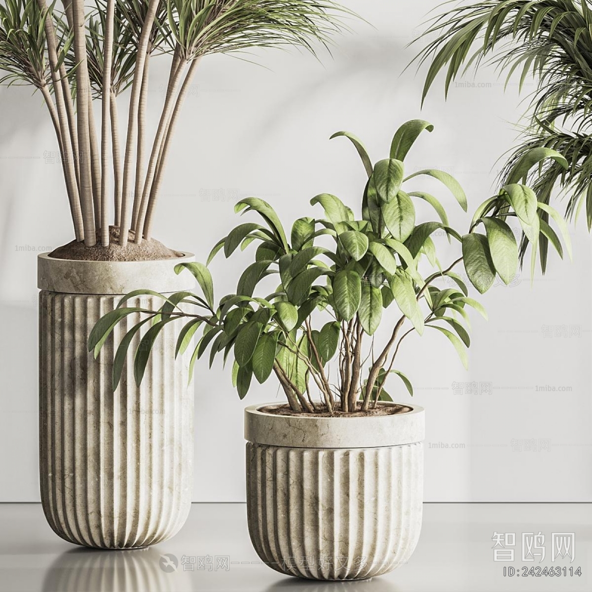 Modern Ground Green Plant Potted Plants