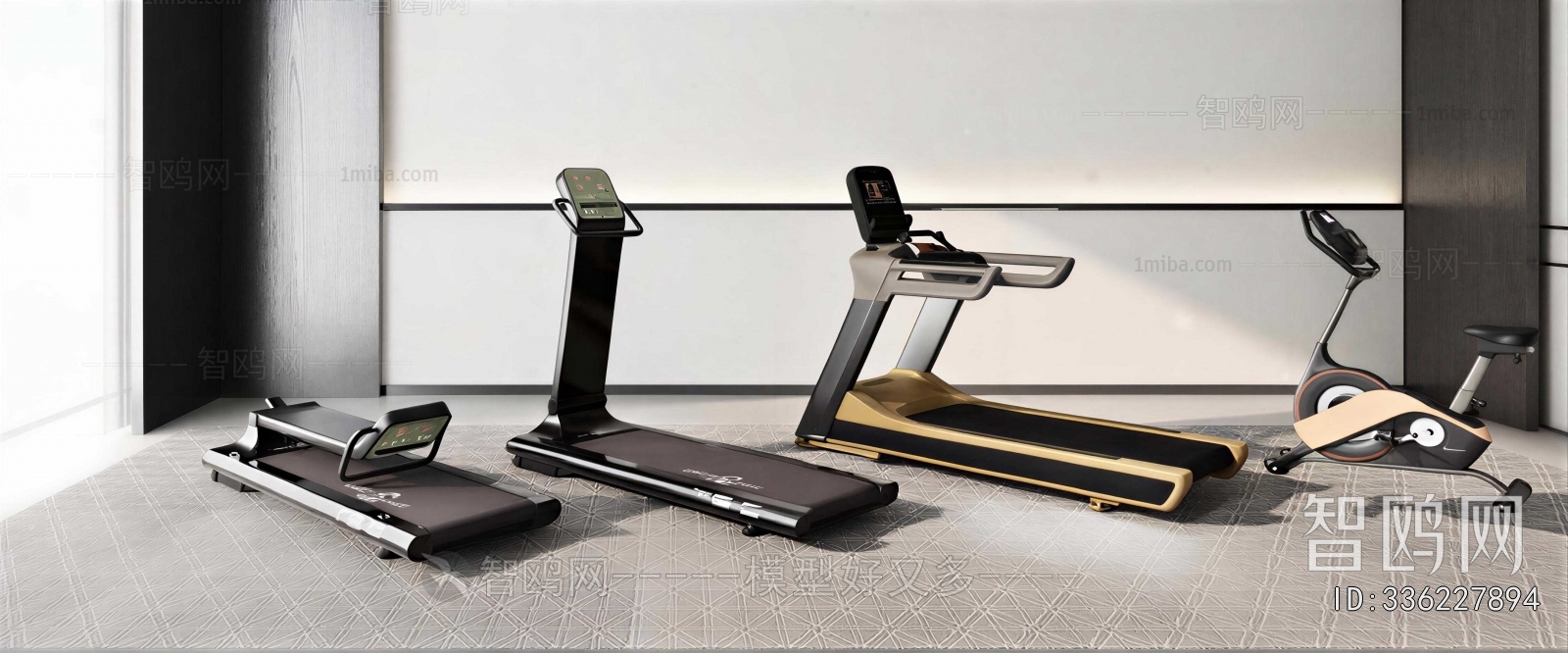 Modern Fitness Equipment