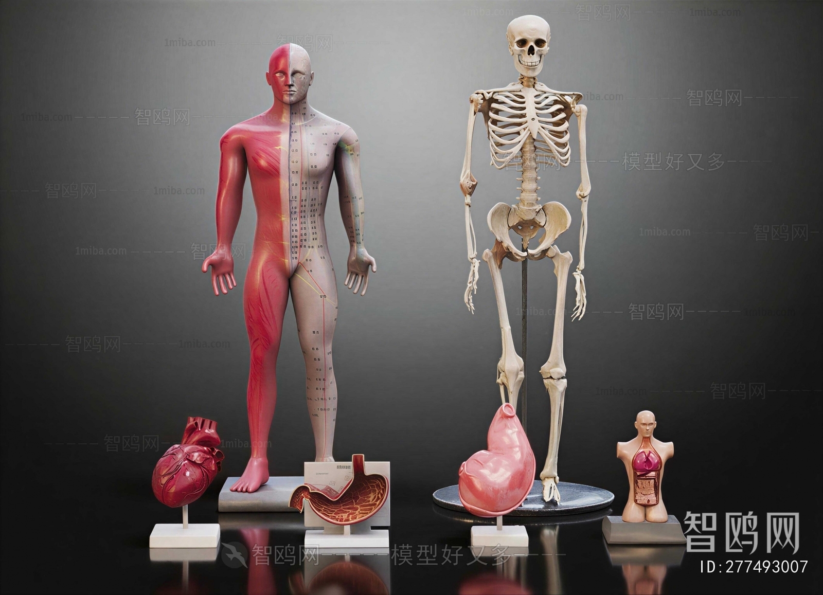 Modern Medical Equipment