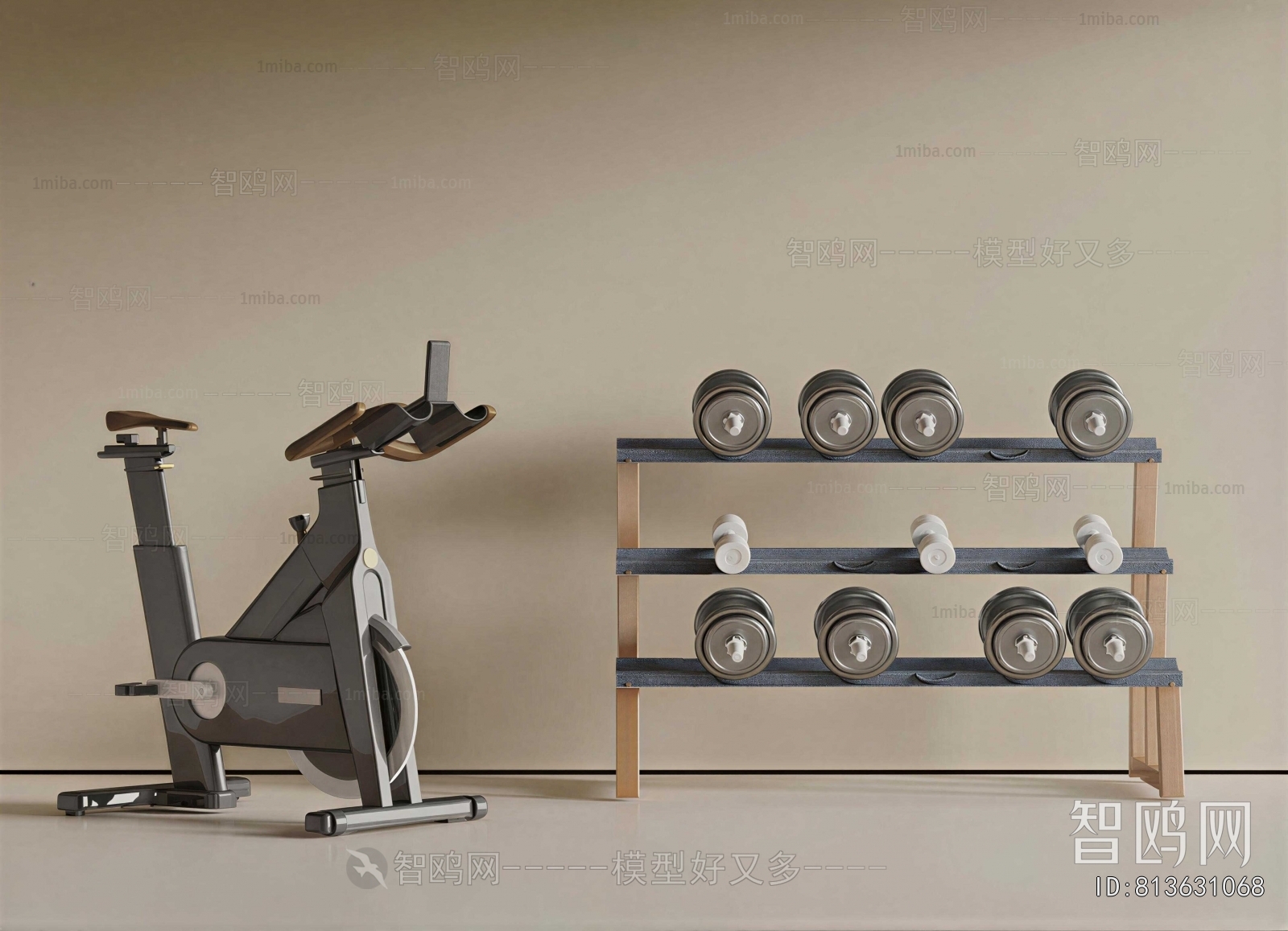 Modern Fitness Equipment