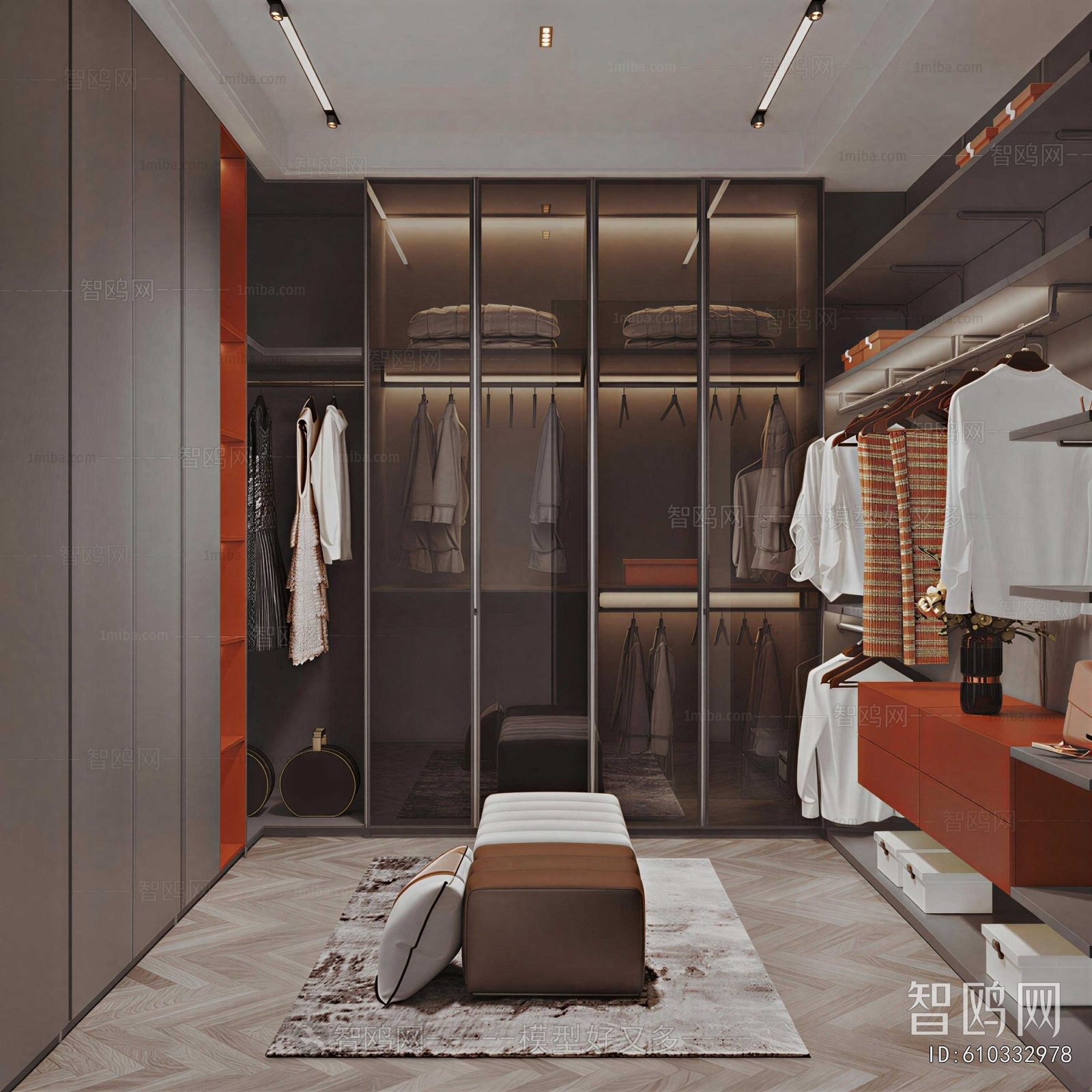 Modern Clothes Storage Area