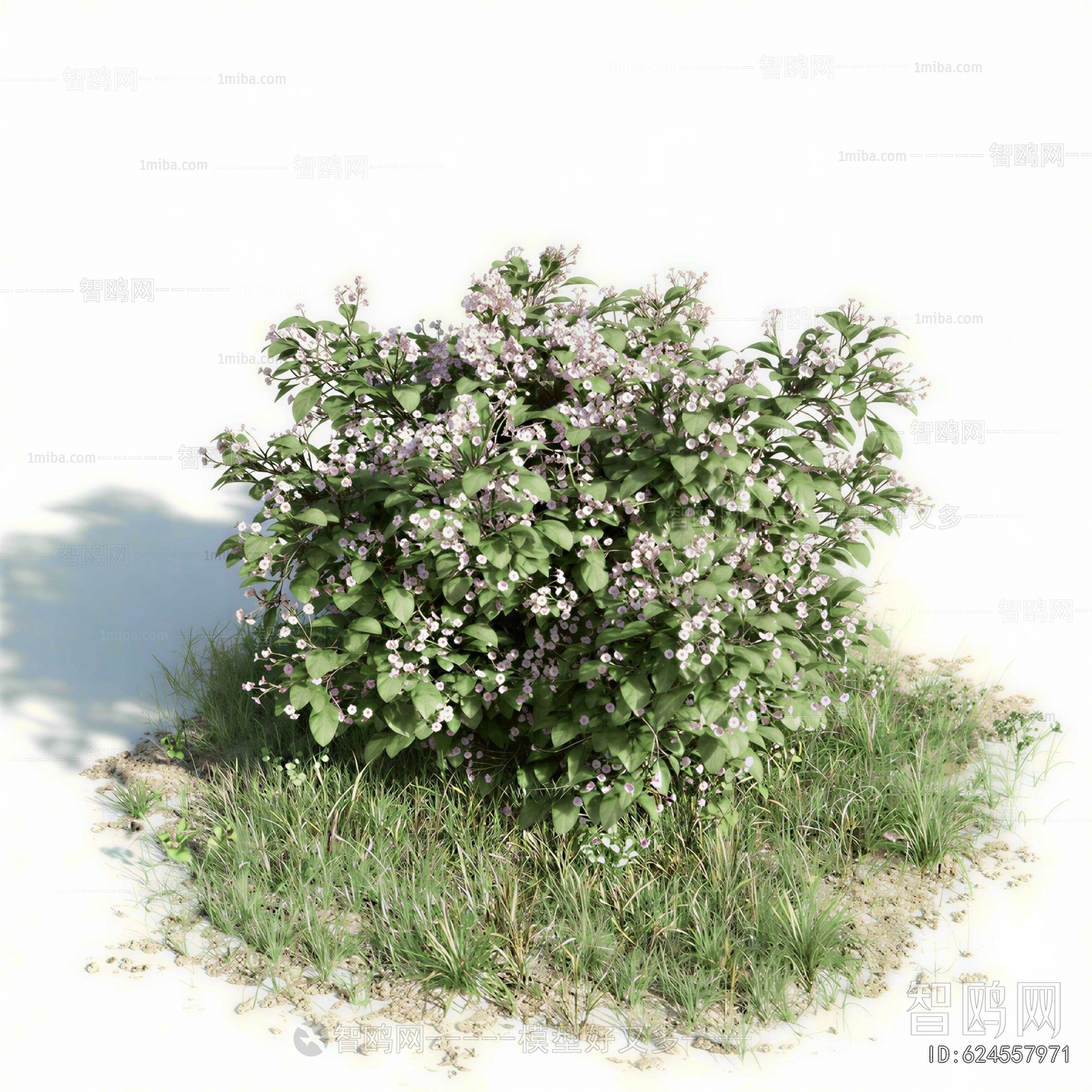 Modern Shrubbery