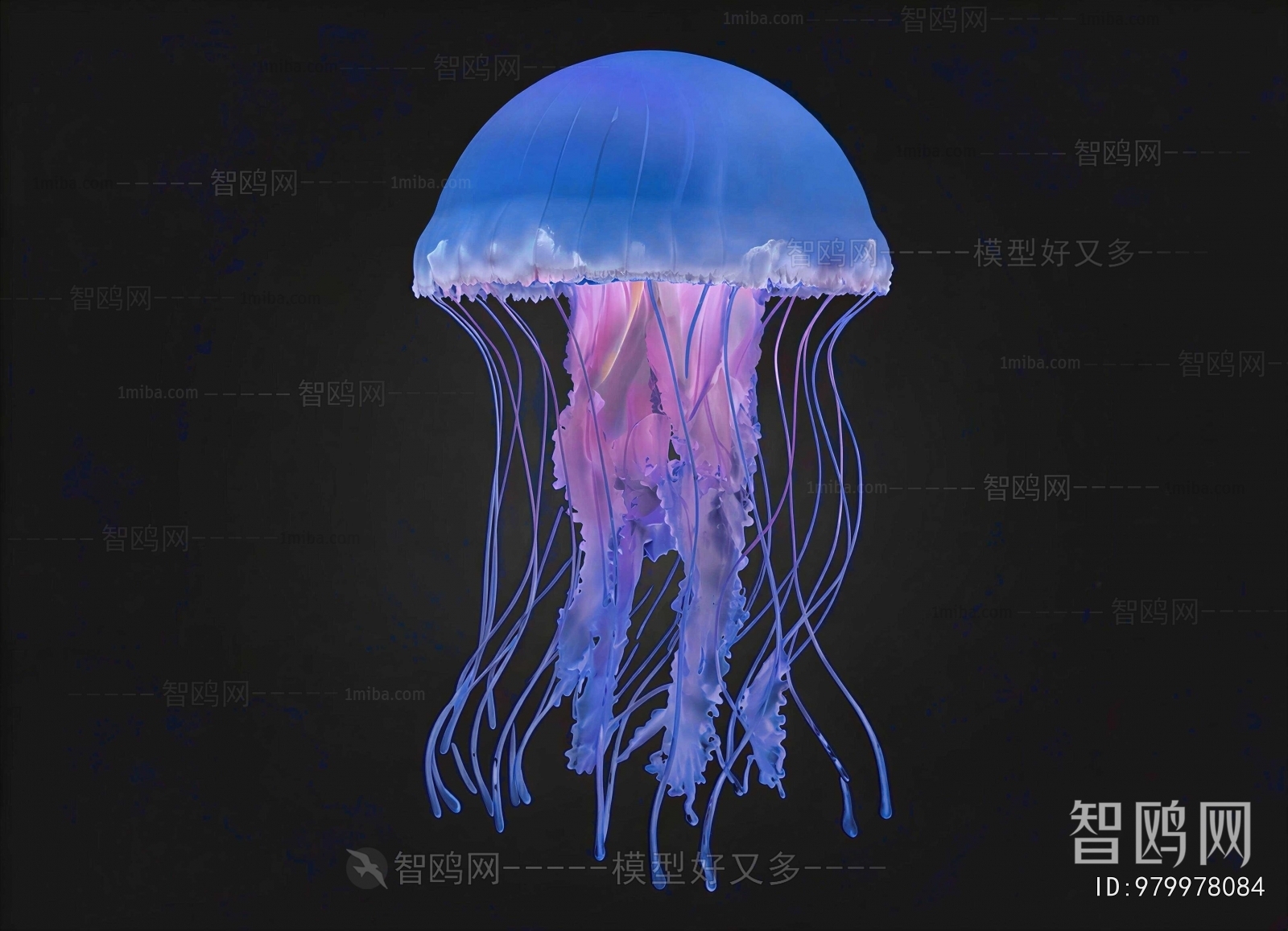 Modern Aquatic Animals