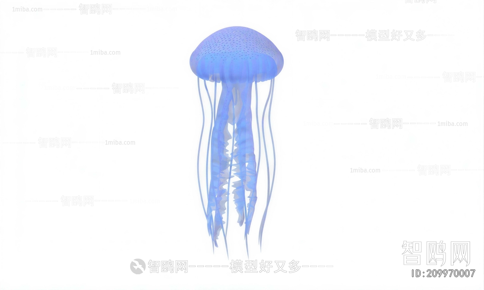 Modern Aquatic Animals