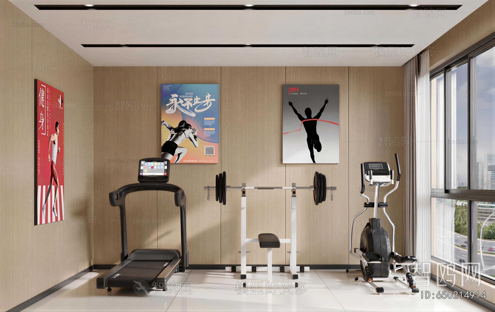 Modern Home Fitness Room