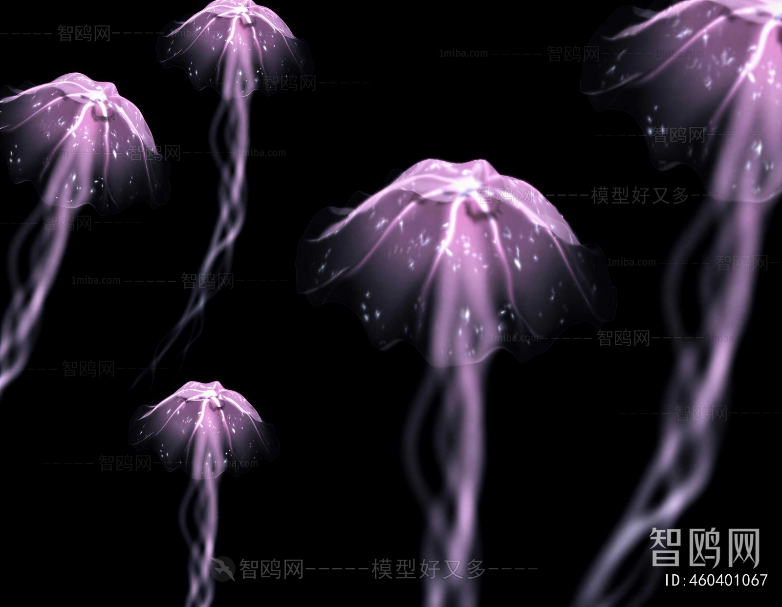 Modern Aquatic Animals