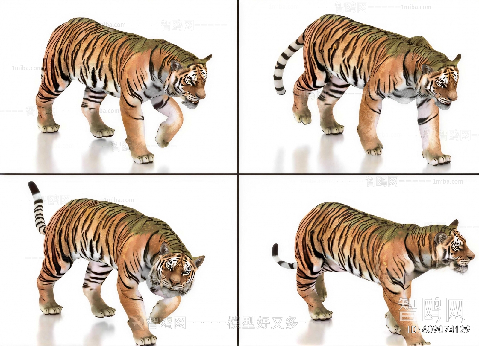 Modern Mammal