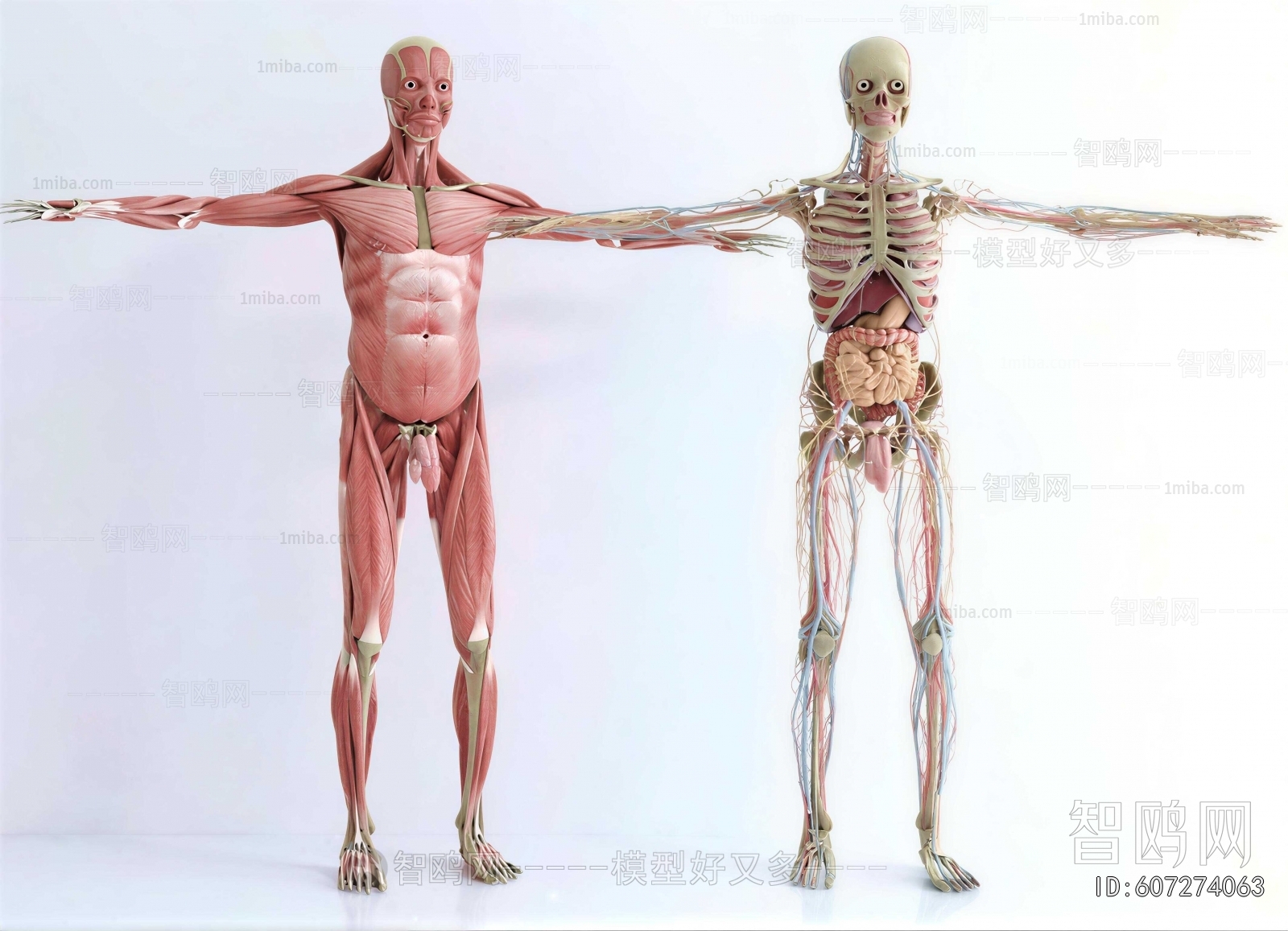 Modern Medical Equipment