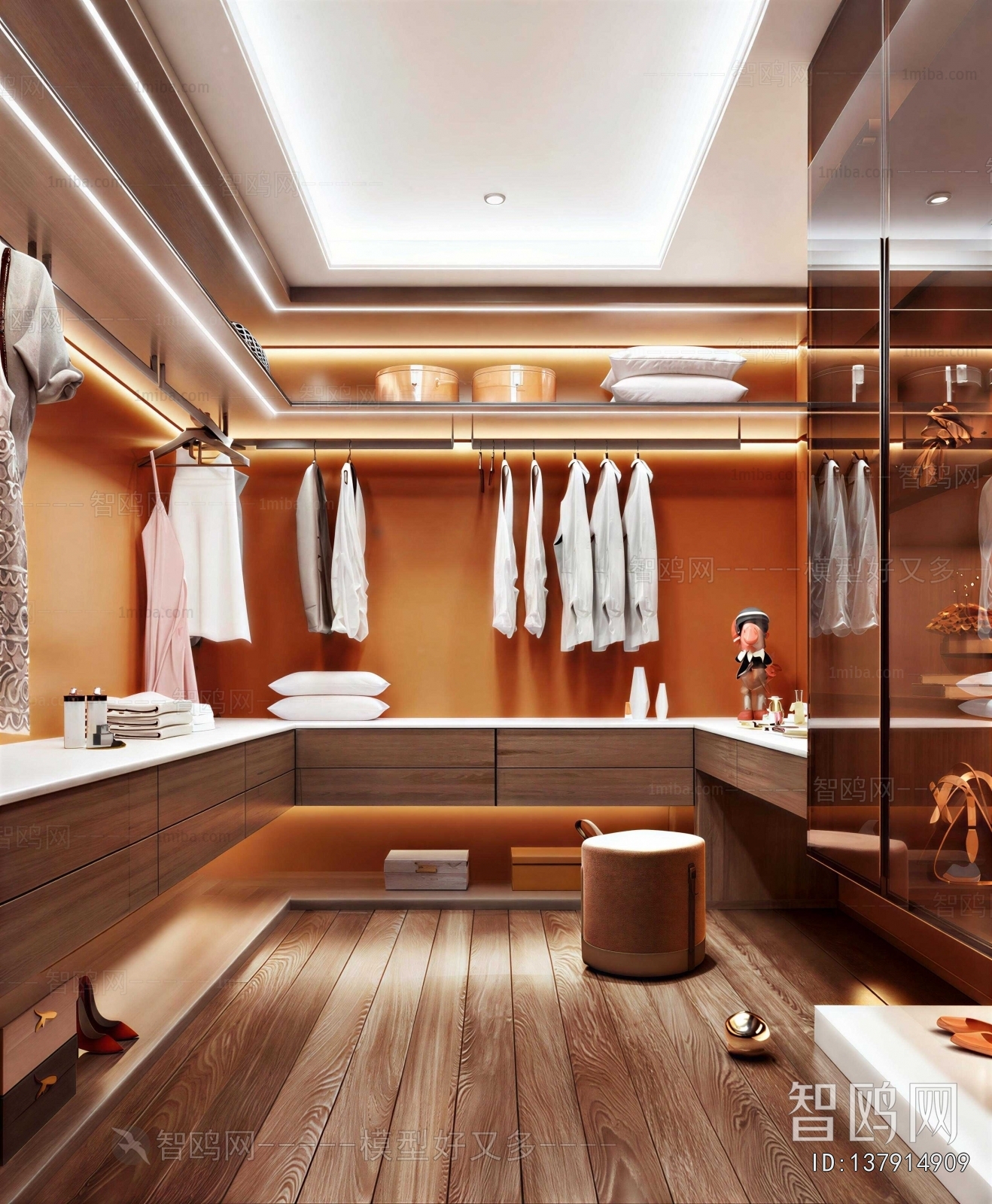 Modern Clothes Storage Area