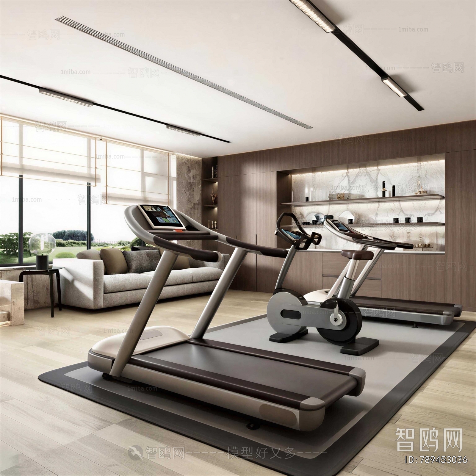 Modern Home Fitness Room