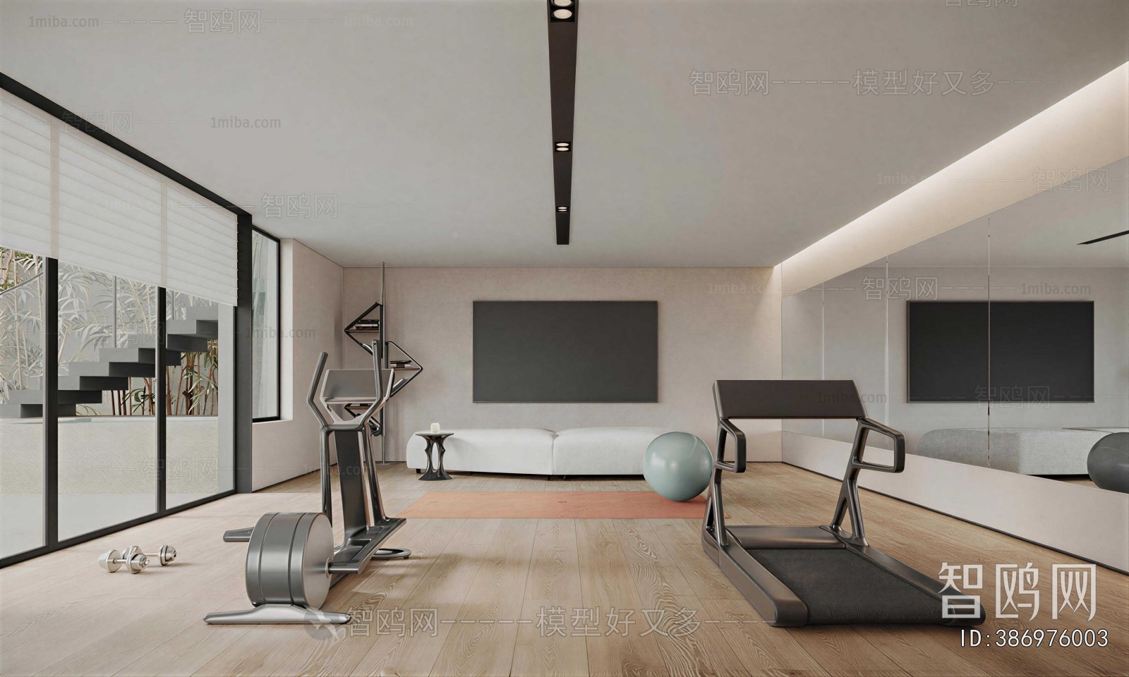 Modern Home Fitness Room