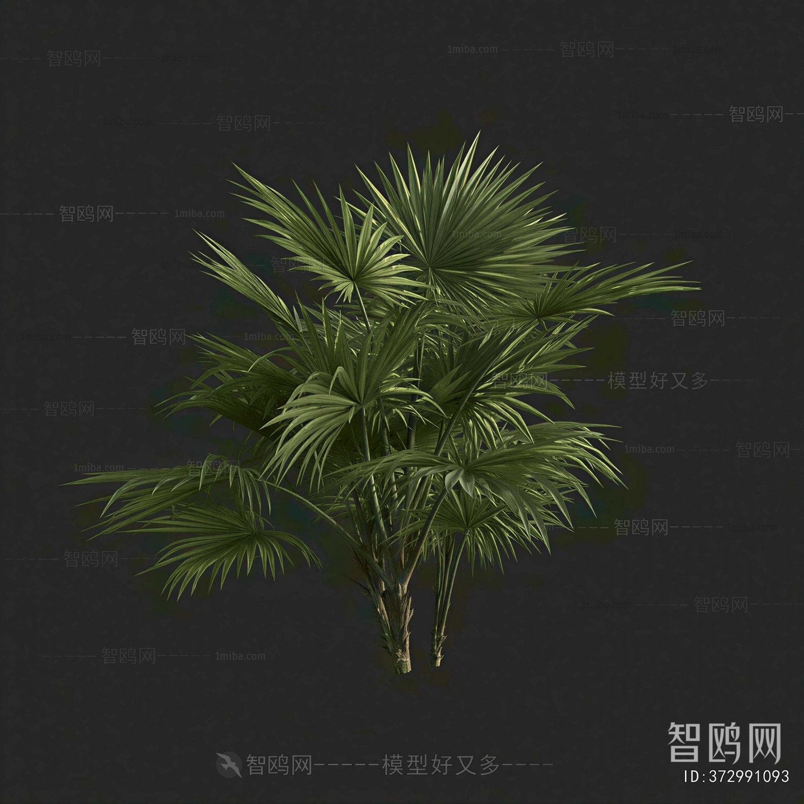 Modern Tree