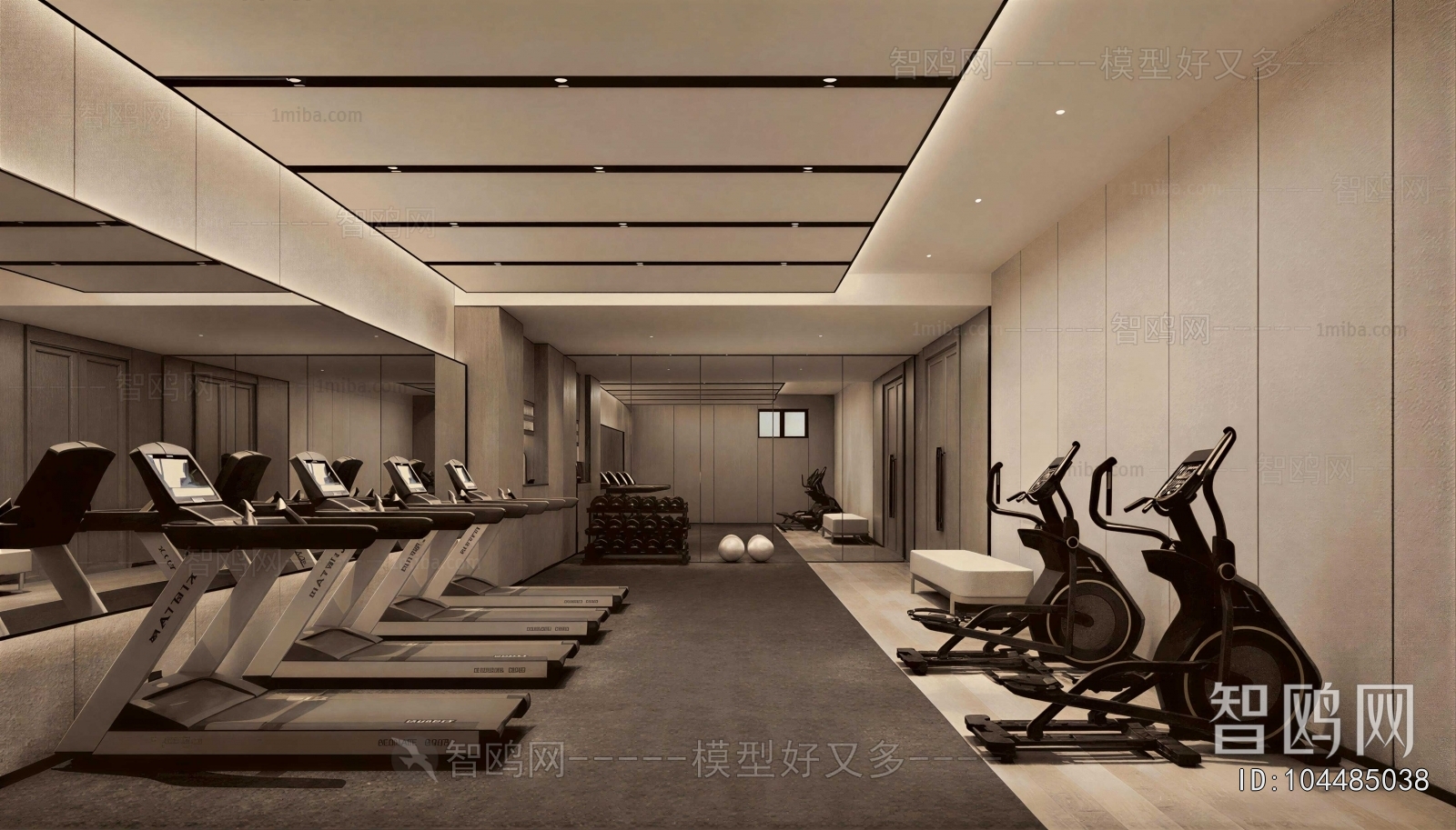 Modern Gym