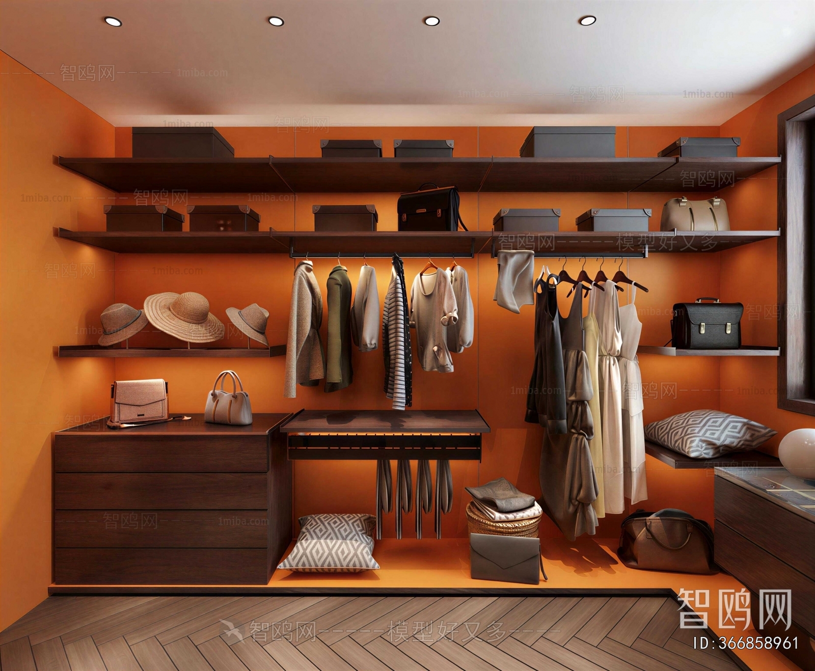 Modern Clothes Storage Area