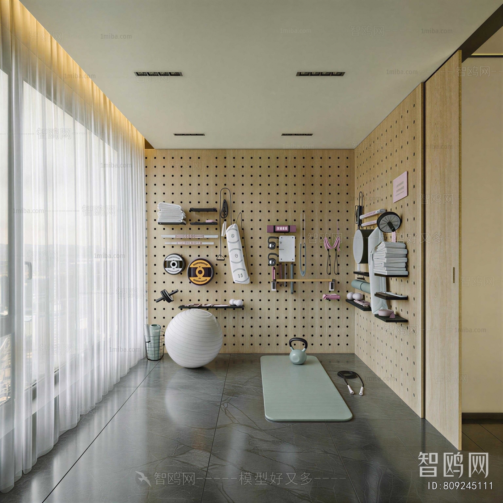 Modern Home Fitness Room